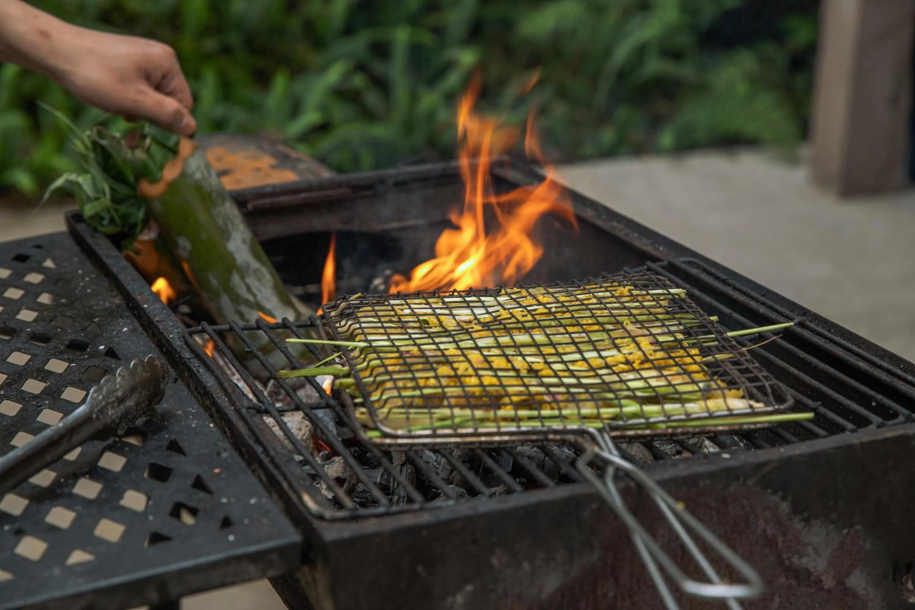 Activities in Avana Retreat