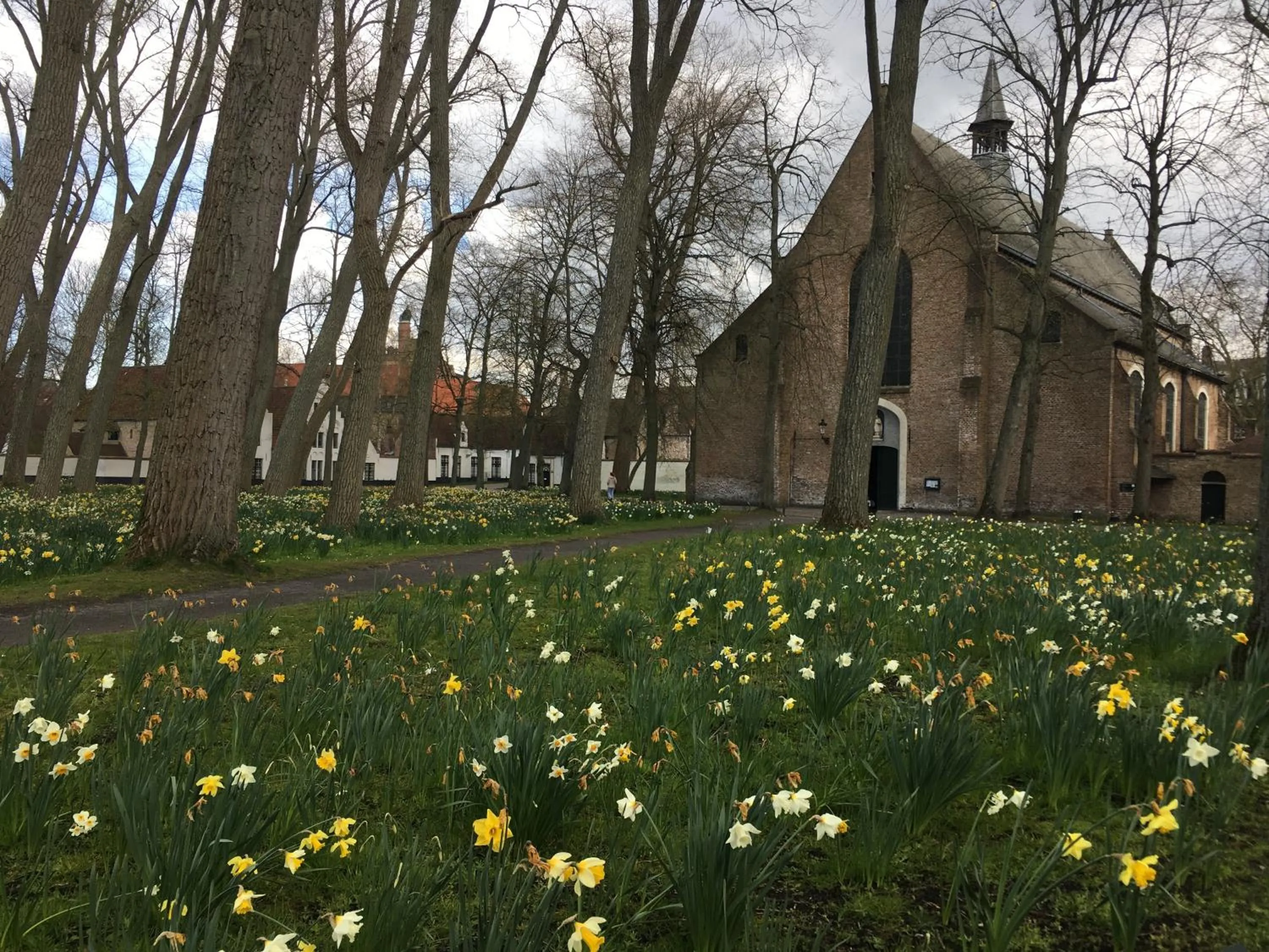 Nearby landmark in B&B My Suite Home