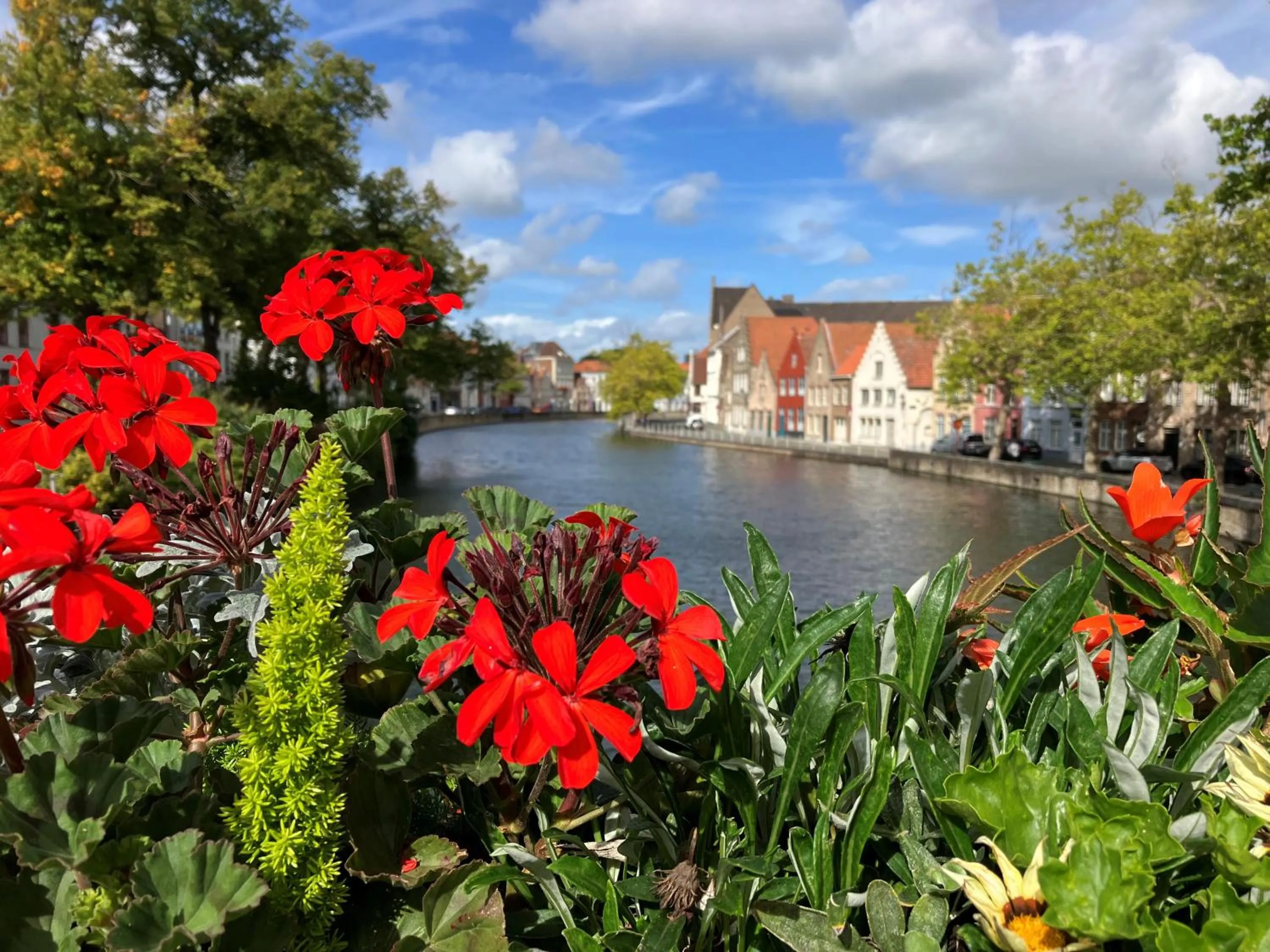 Property building in B&B My Suite Home