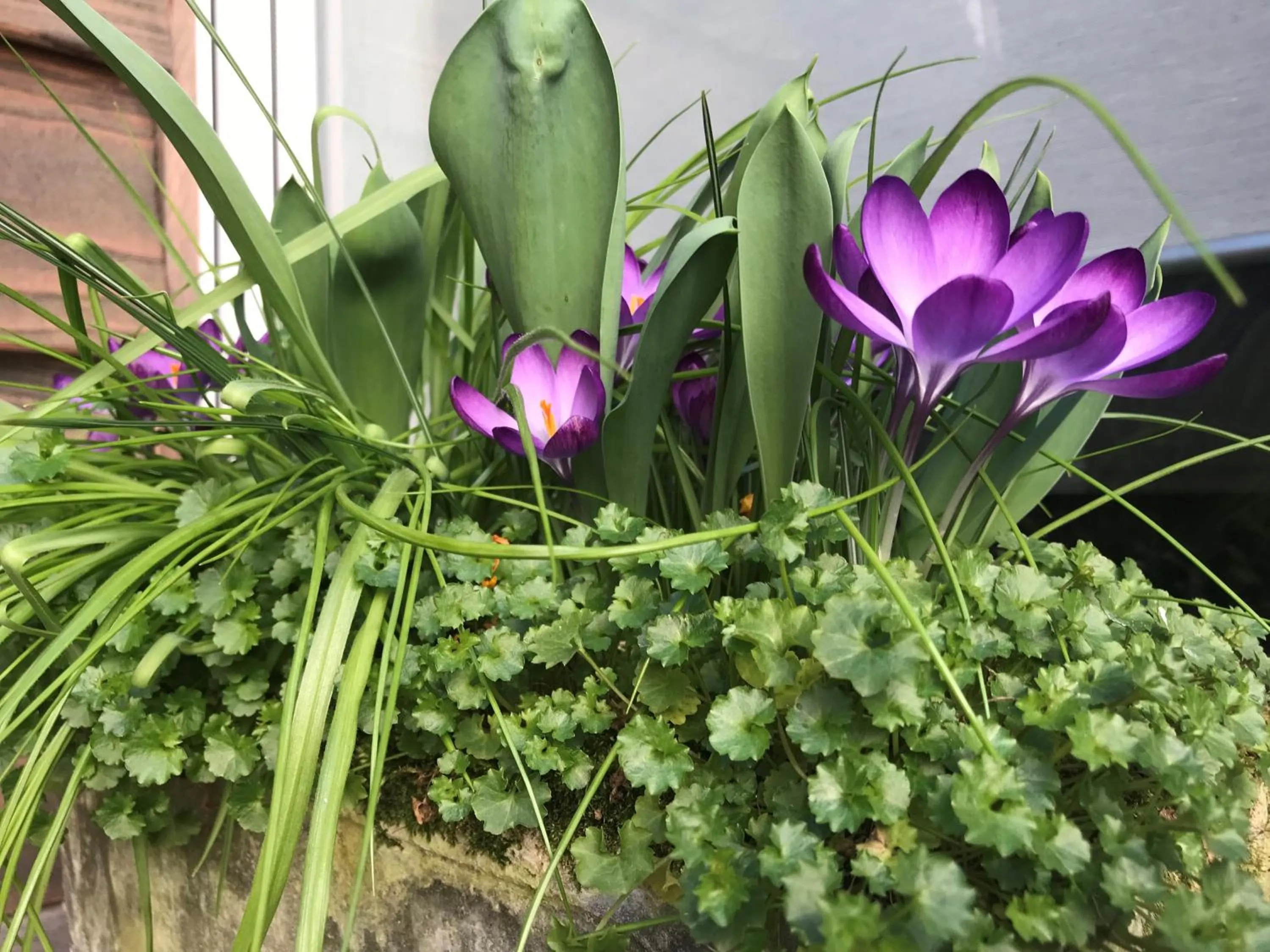 Property building in B&B My Suite Home