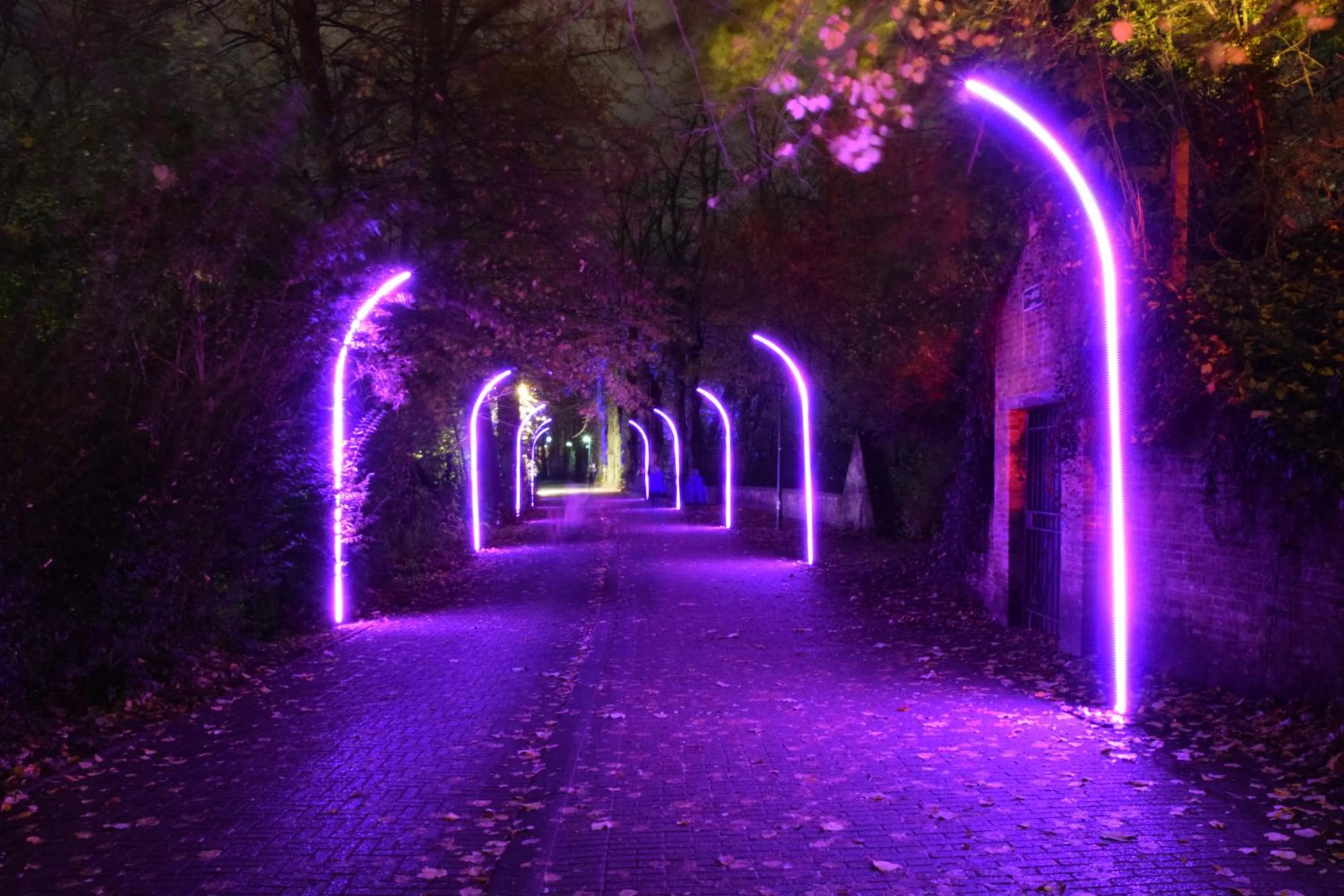 Evening entertainment in B&B My Suite Home