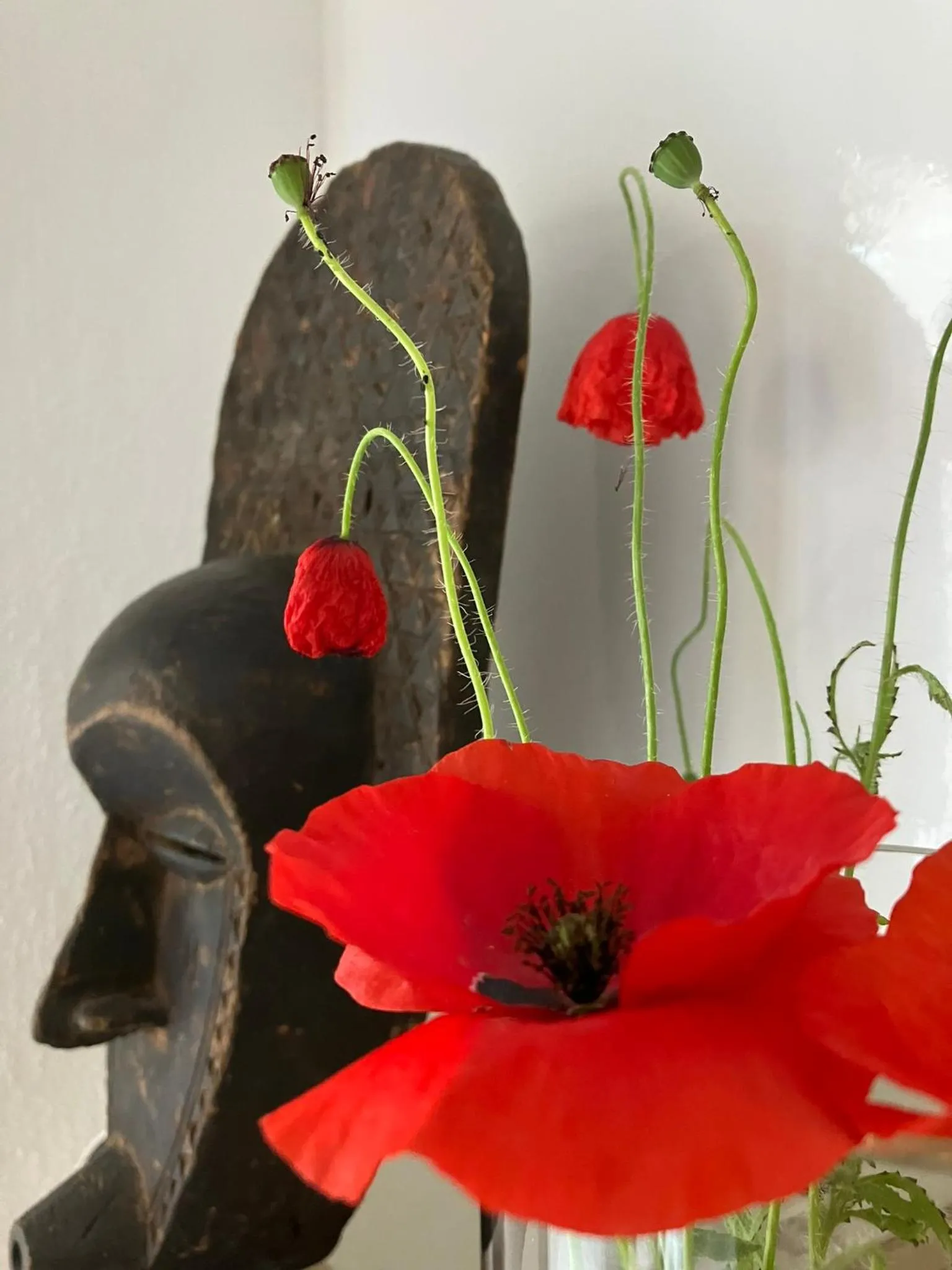 Property building in B&B My Suite Home