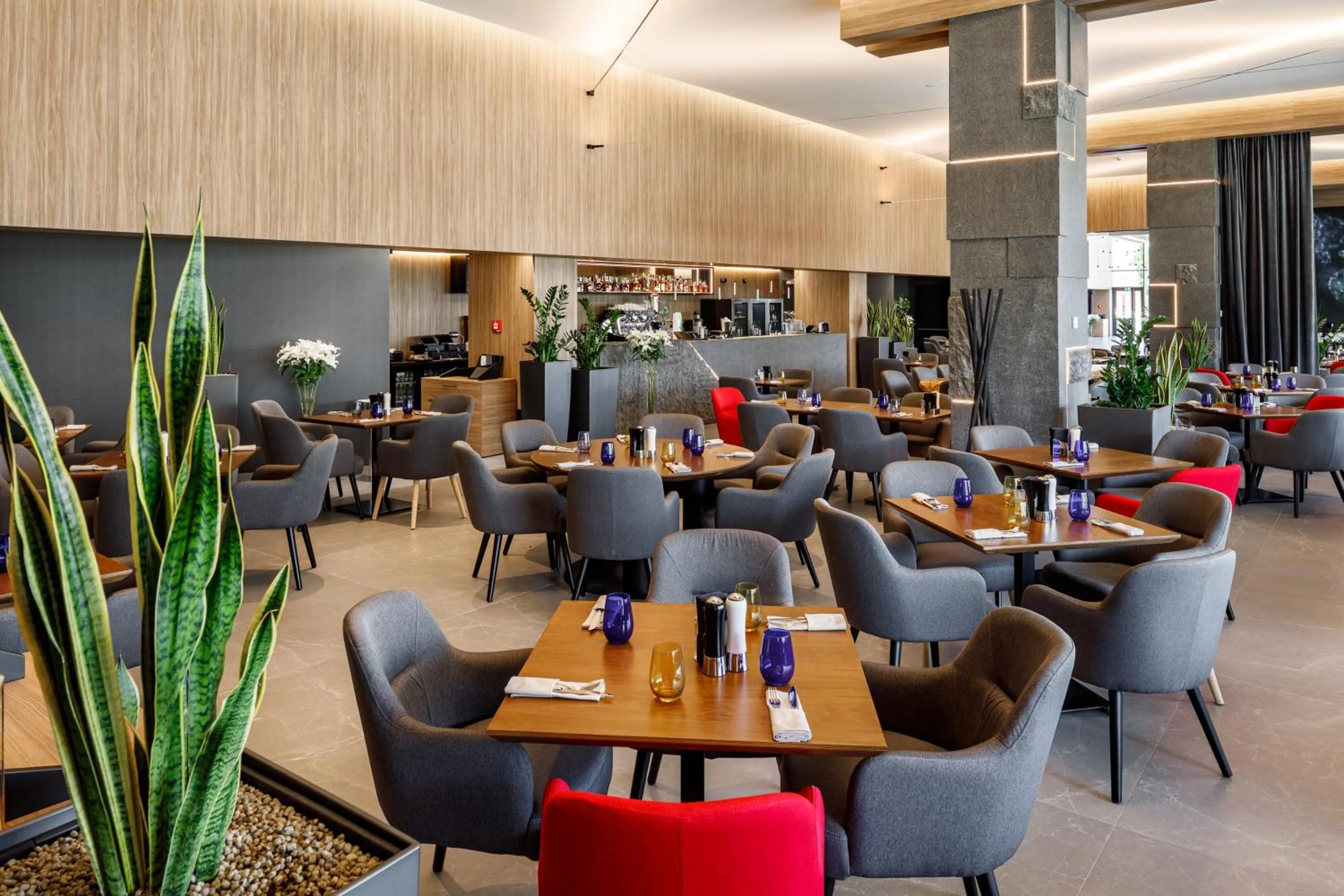 Restaurant/places to eat in Qosmo Brasov Hotel