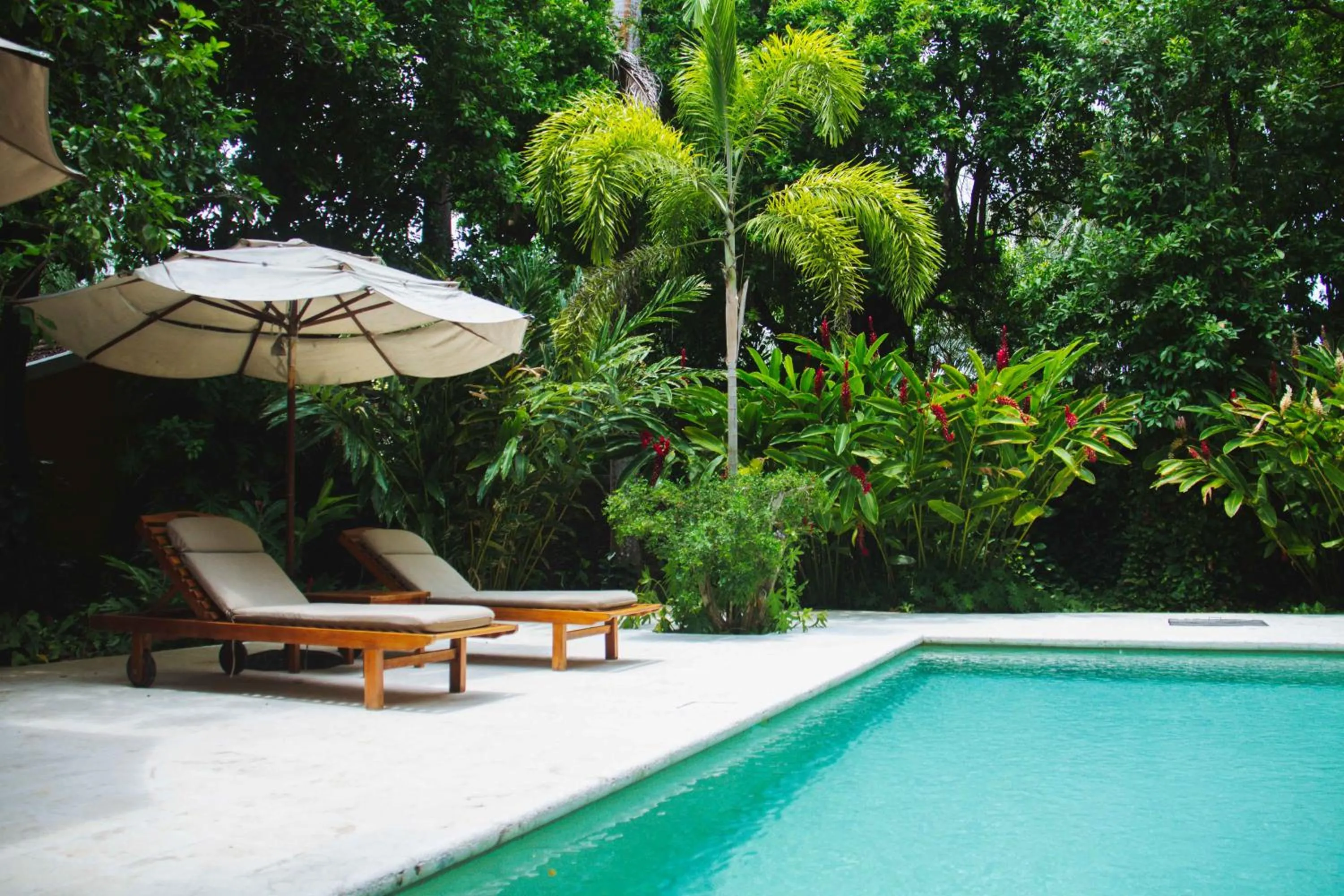 Hacienda San Antonio Millet