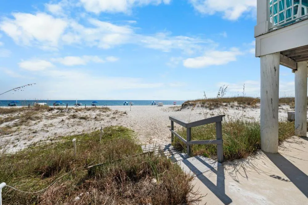 Two Little Lambs at Our Point of View by Youngs Suncoast