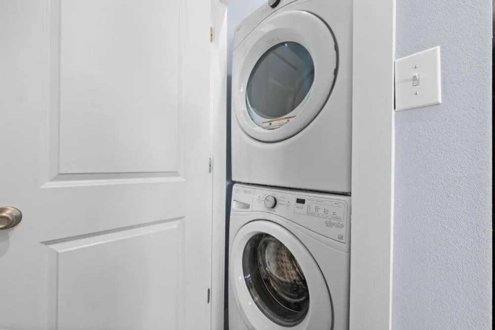 Two Little Lambs at Our Point of View by Youngs Suncoast