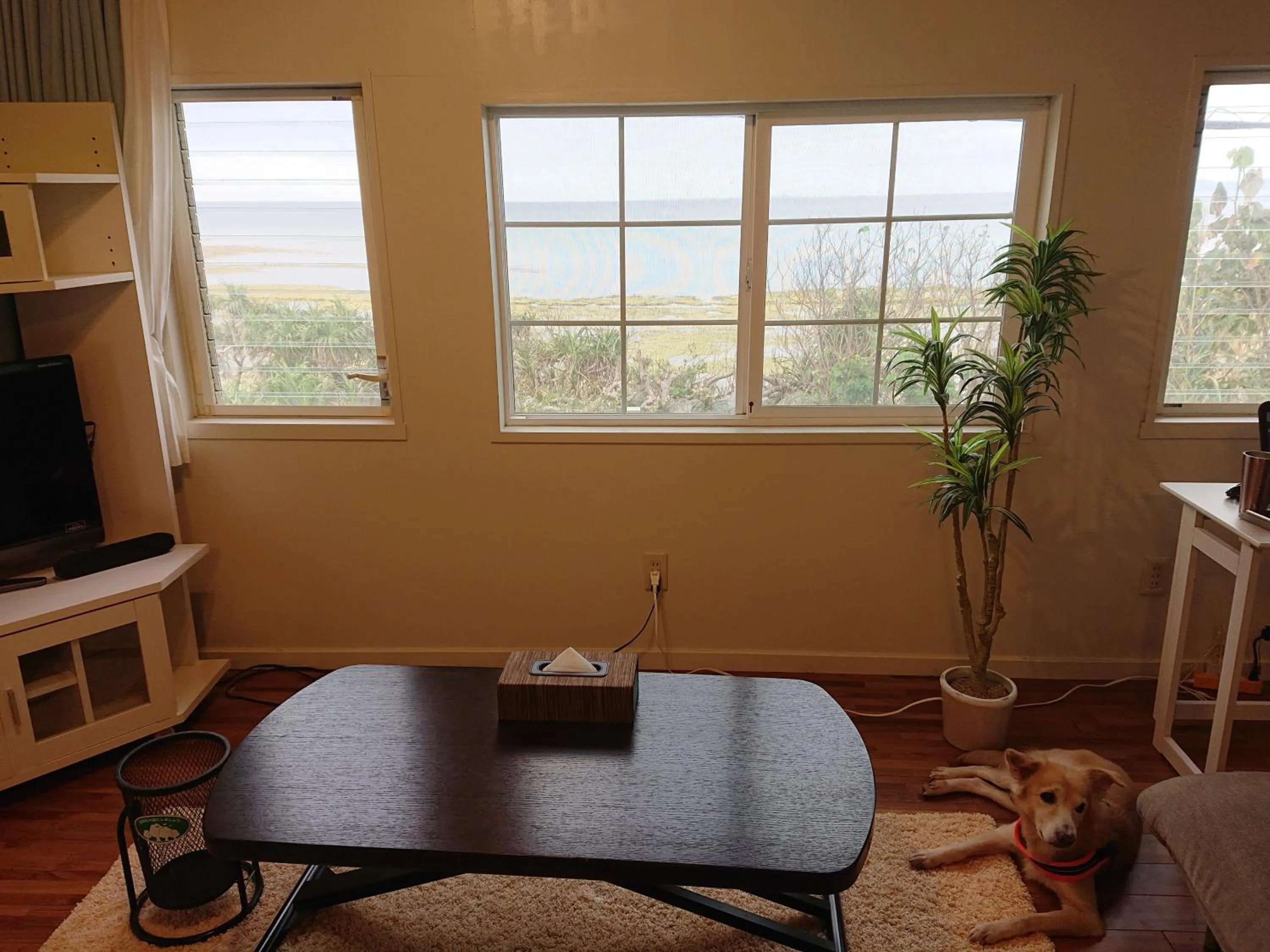 Living room in Maribu Beach House