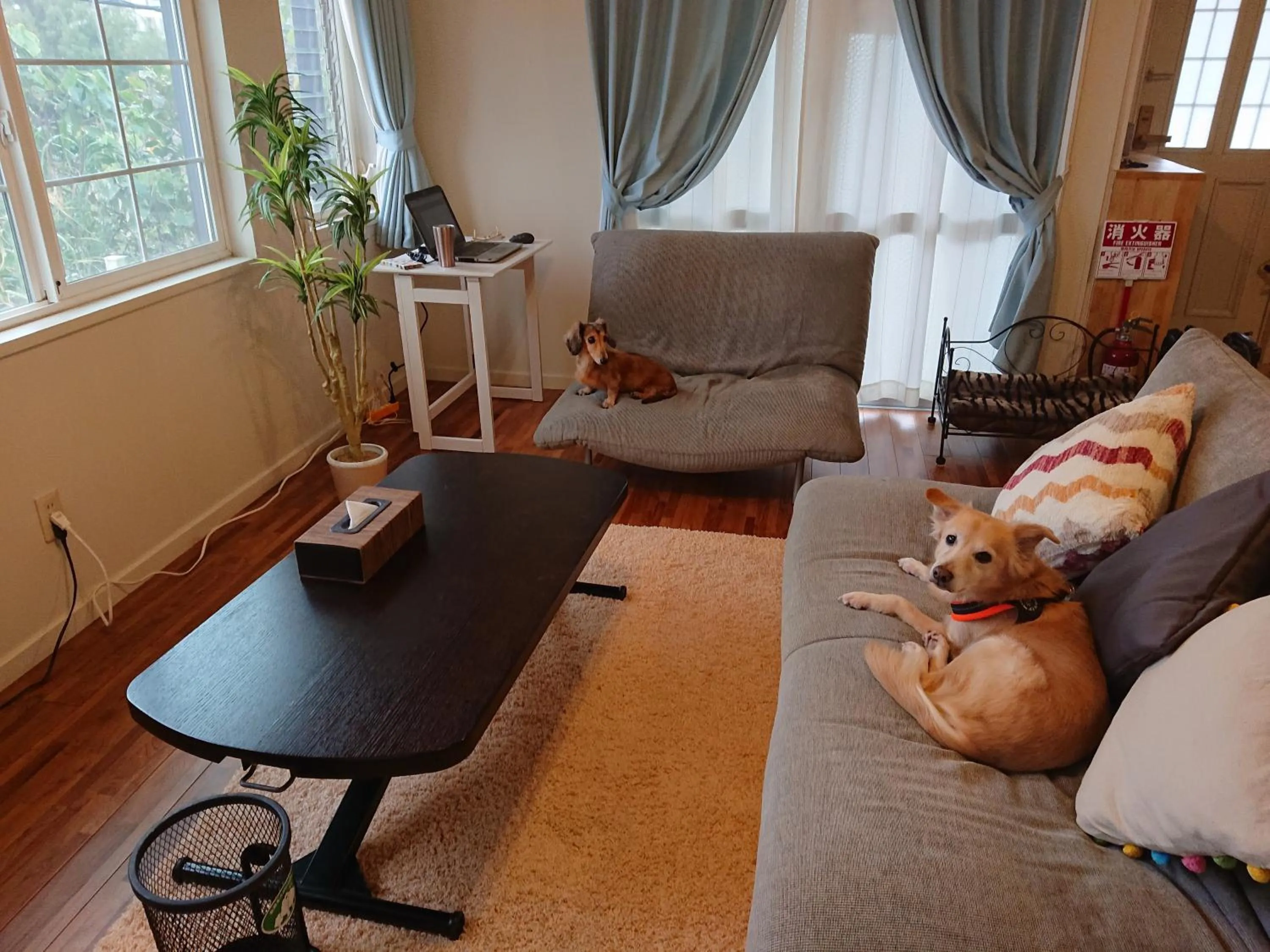 Living room in Maribu Beach House