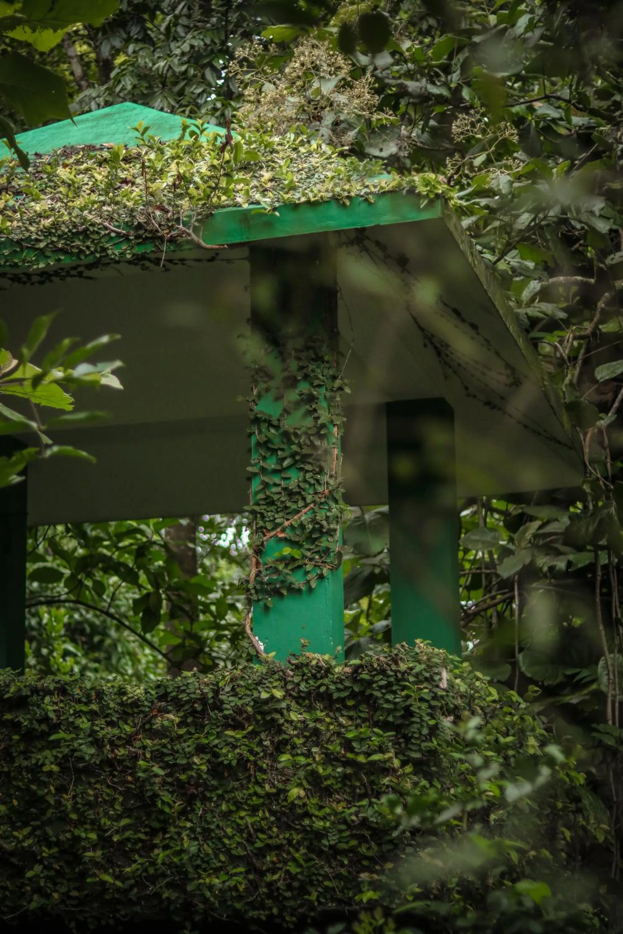 Balcony/Terrace in Edens Munnar