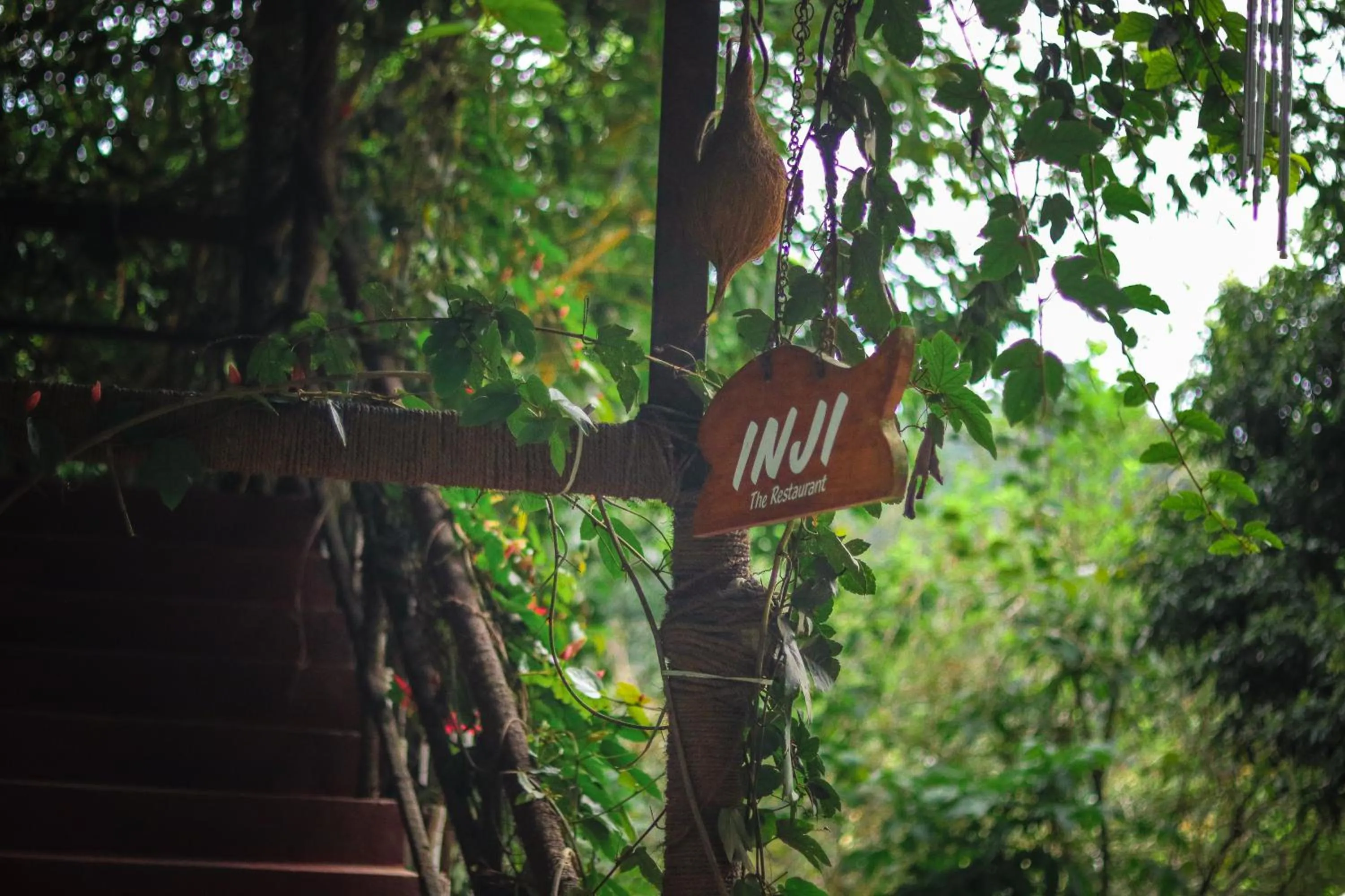 Restaurant/places to eat in Edens Munnar