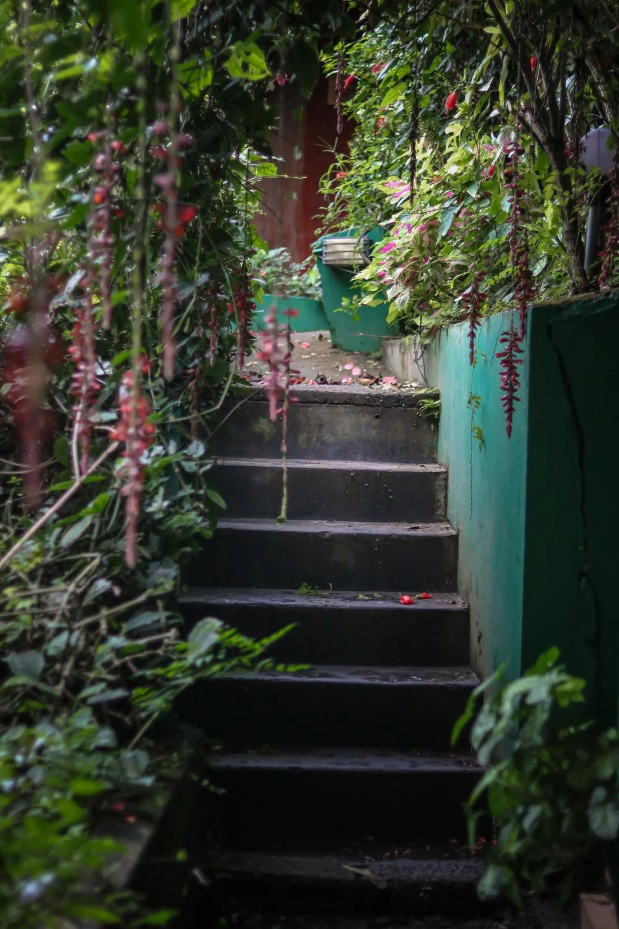 Patio in Edens Munnar