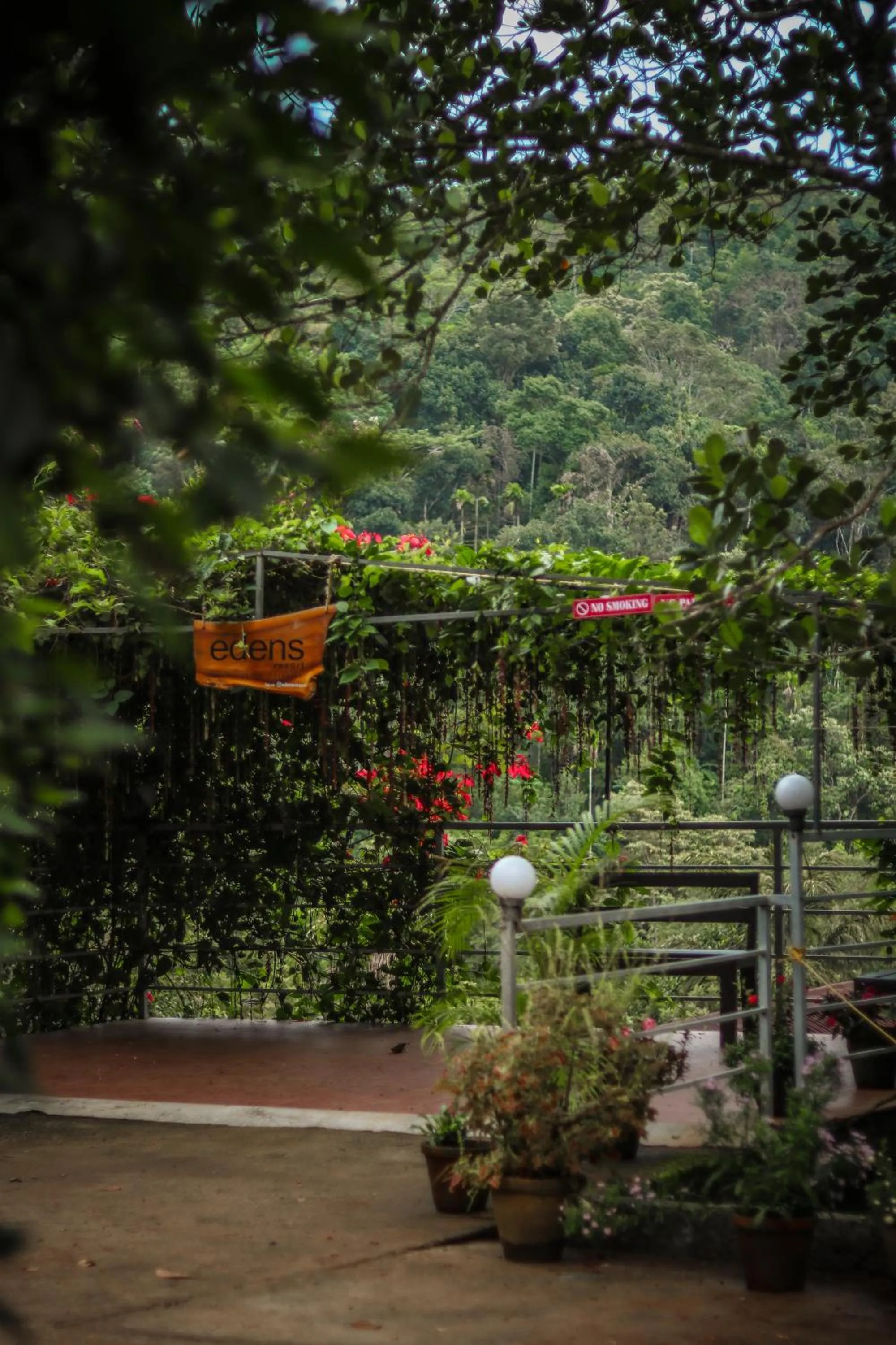 Garden in Edens Munnar
