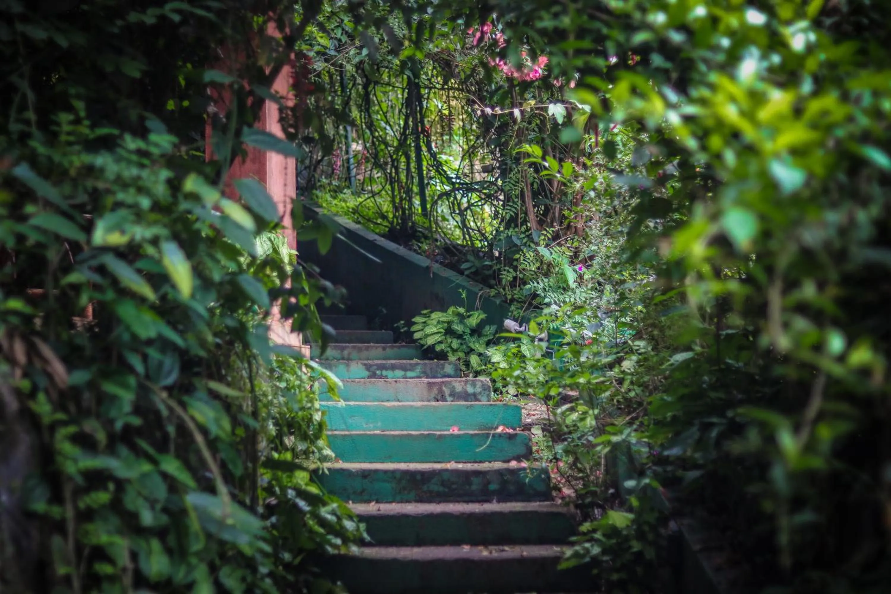 Garden in Edens Munnar