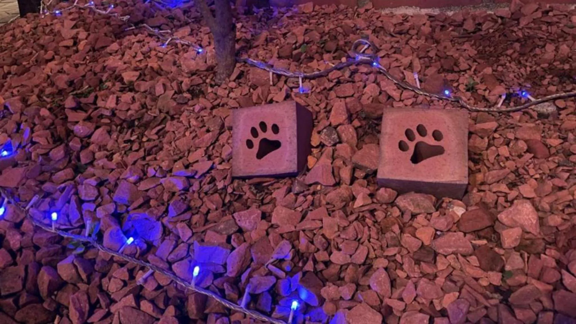 Other in Toyoko Inn Tokyo Shinagawa Konan-guchi Tennozu Isle