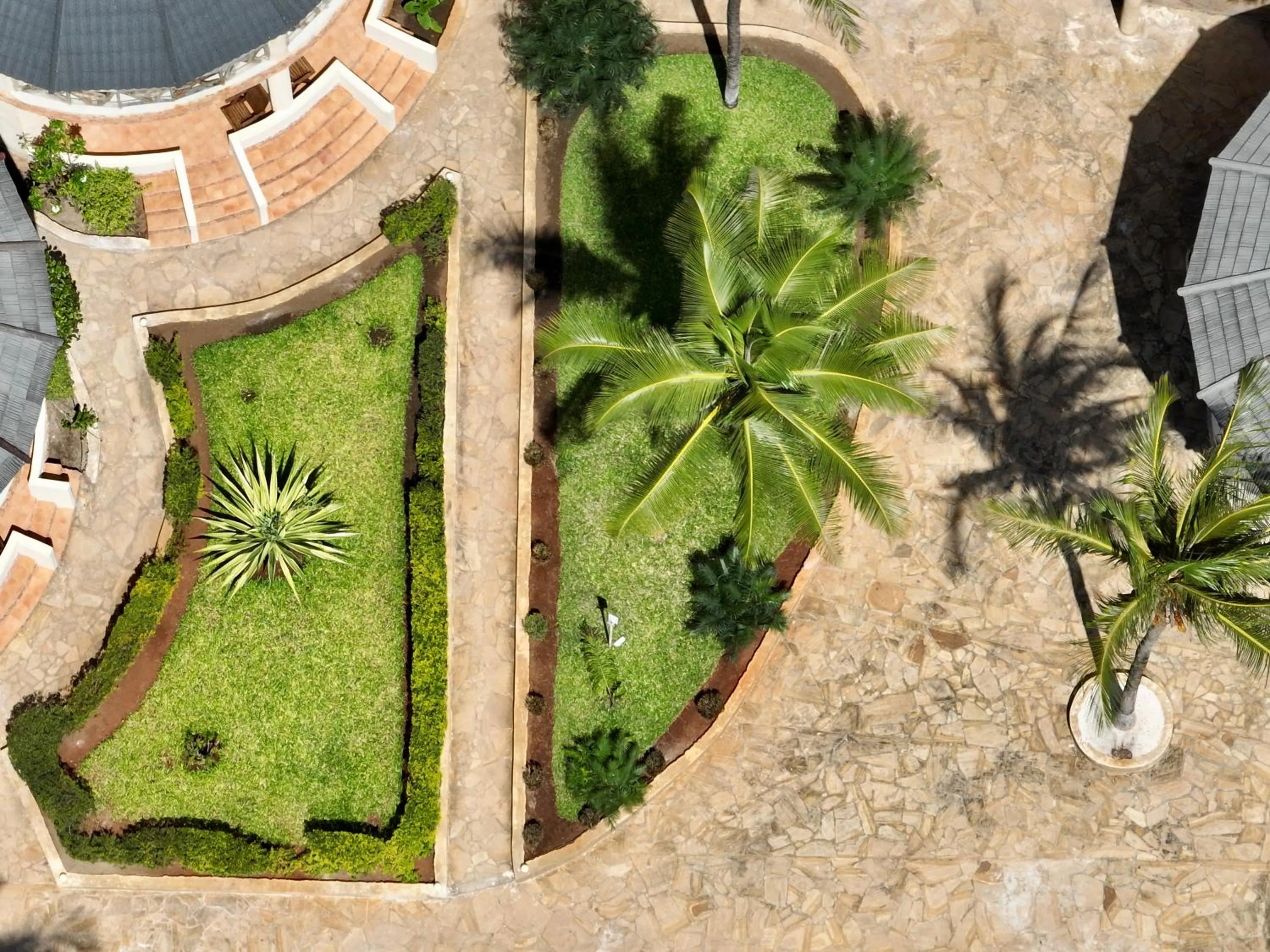 Spring in Zula Zanzibar