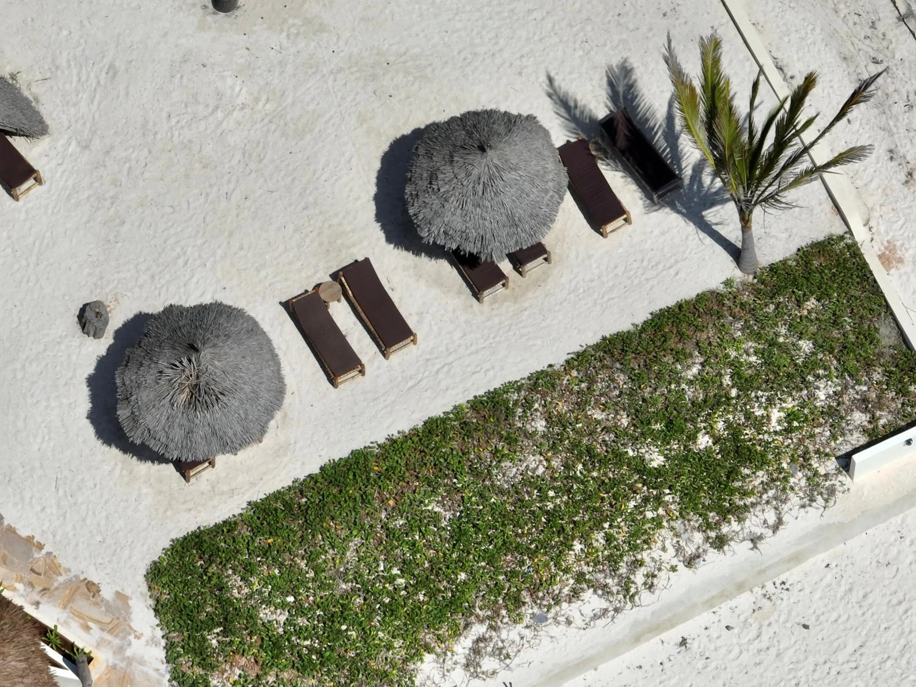 Spring in Zula Zanzibar