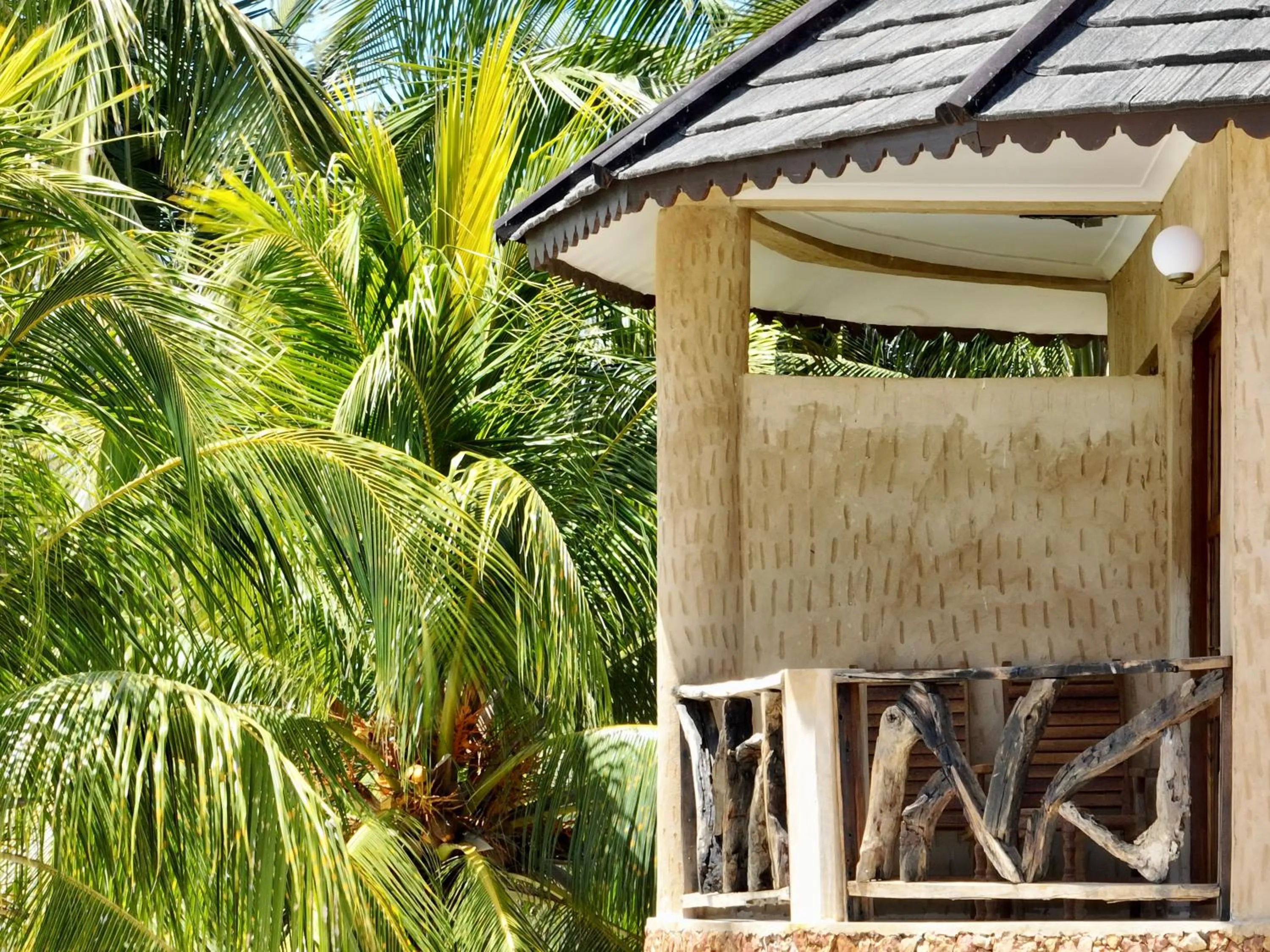 Day in Zula Zanzibar