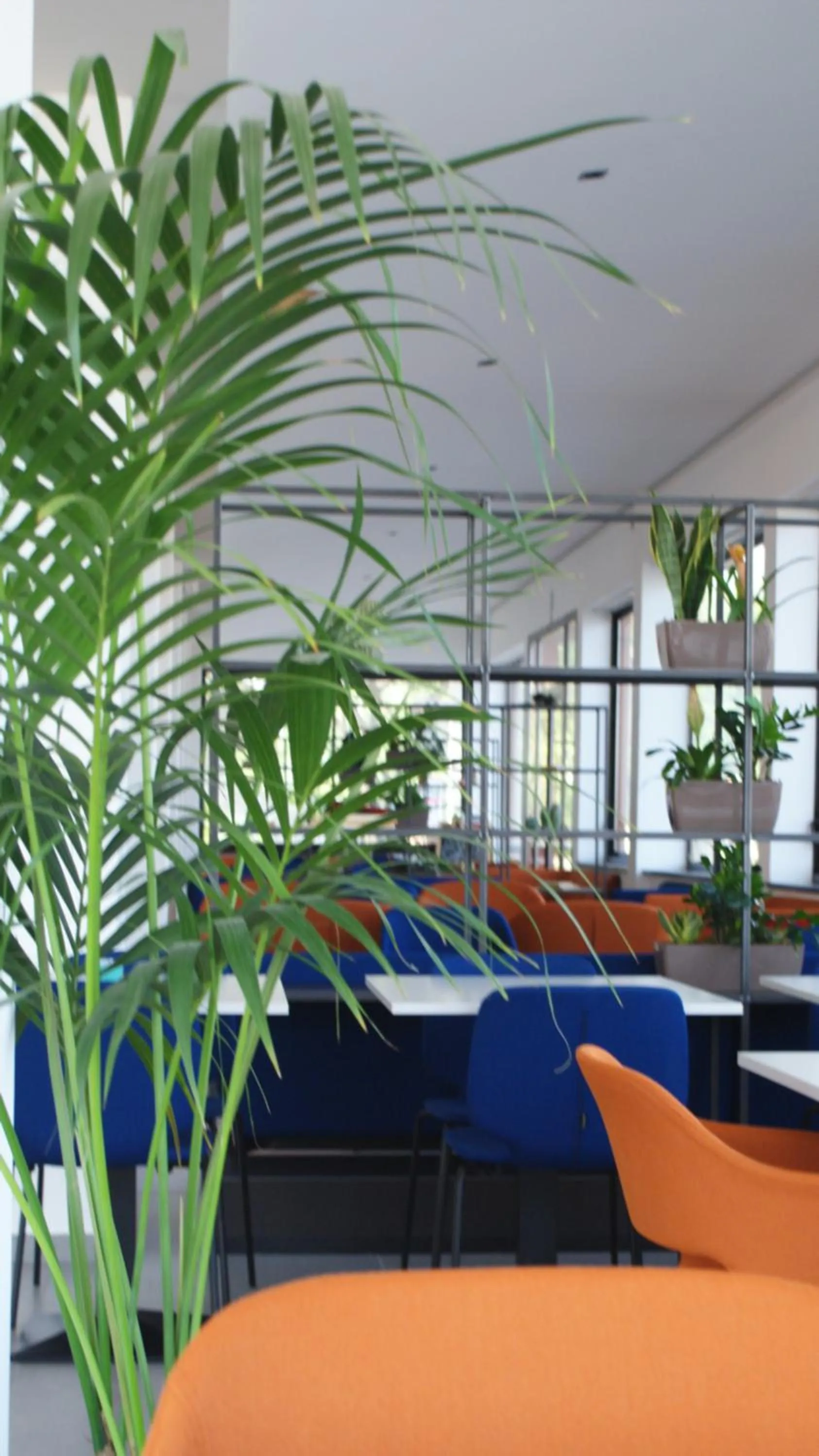 Lobby or reception in Hotel Palazzo Caveja