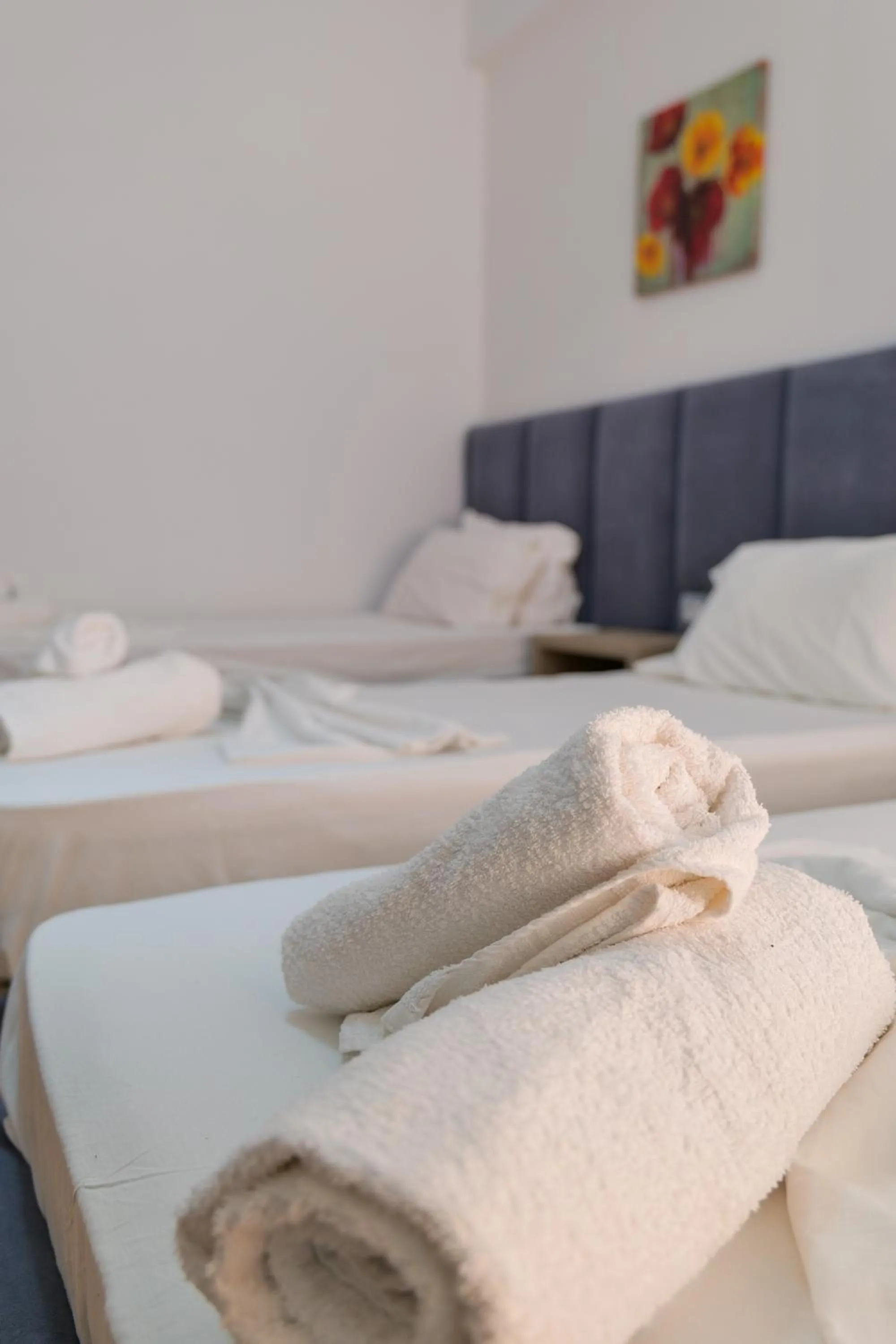 Bedroom, Bed in Hotel Driloni