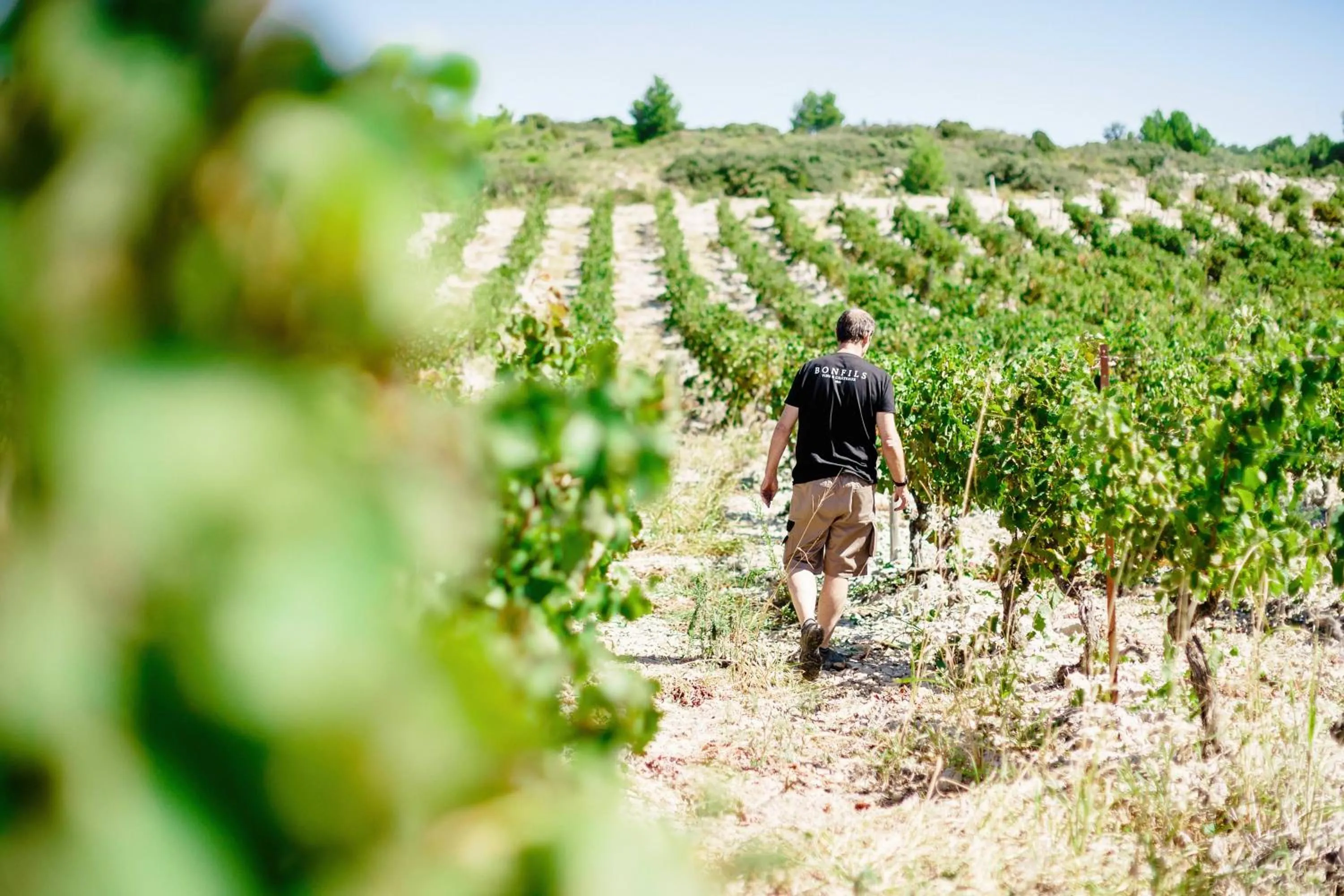Natural landscape in Château Capitoul