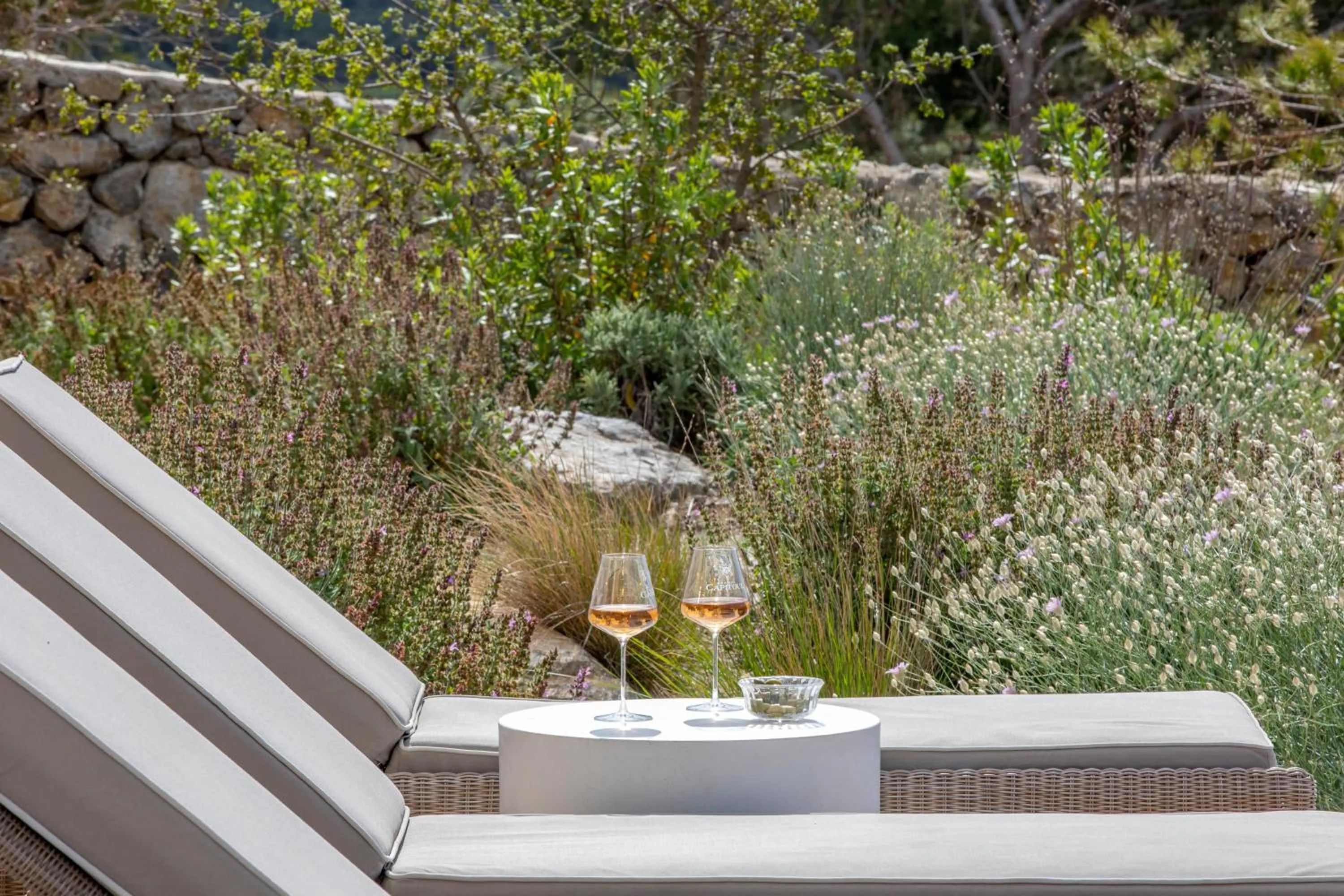 Garden in Château Capitoul