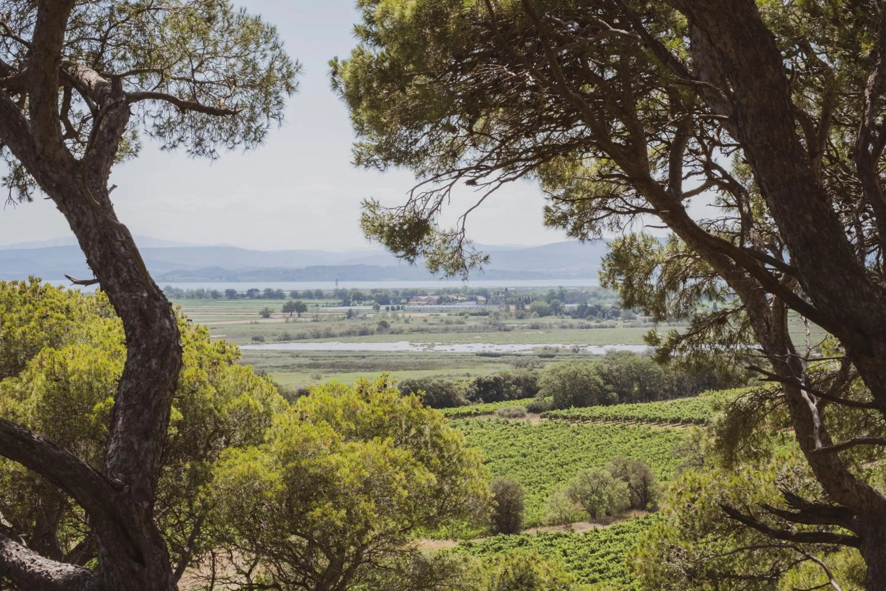 View (from property/room) in Château Capitoul