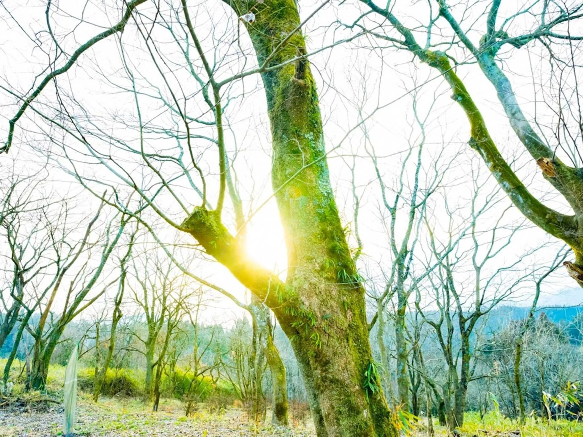 Guest house KURIHAI - Vacation STAY 21433v