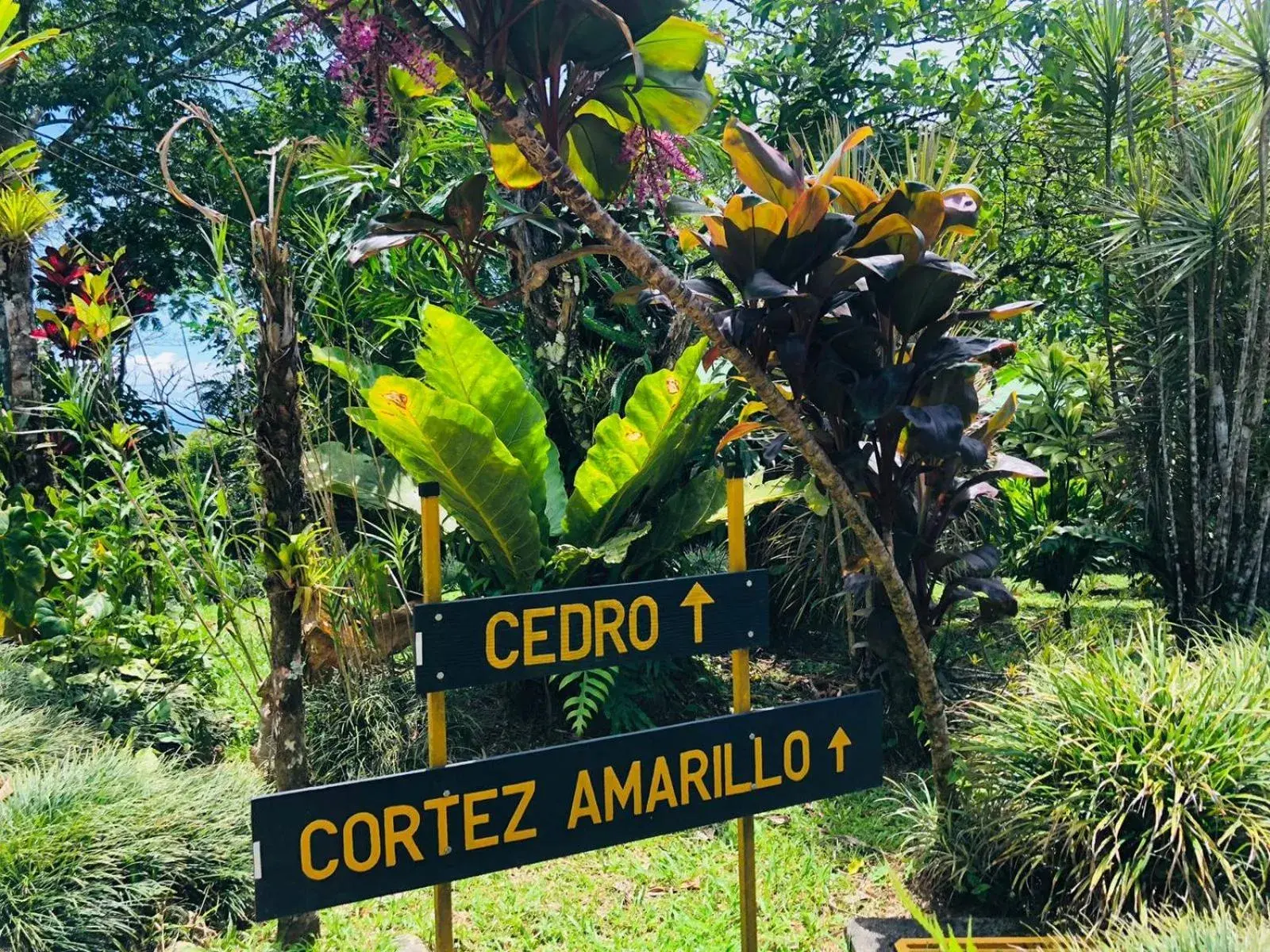 Bungalow with Garden View in Ávita Lodge Bungalow with Garden View in Ávita Lodge
