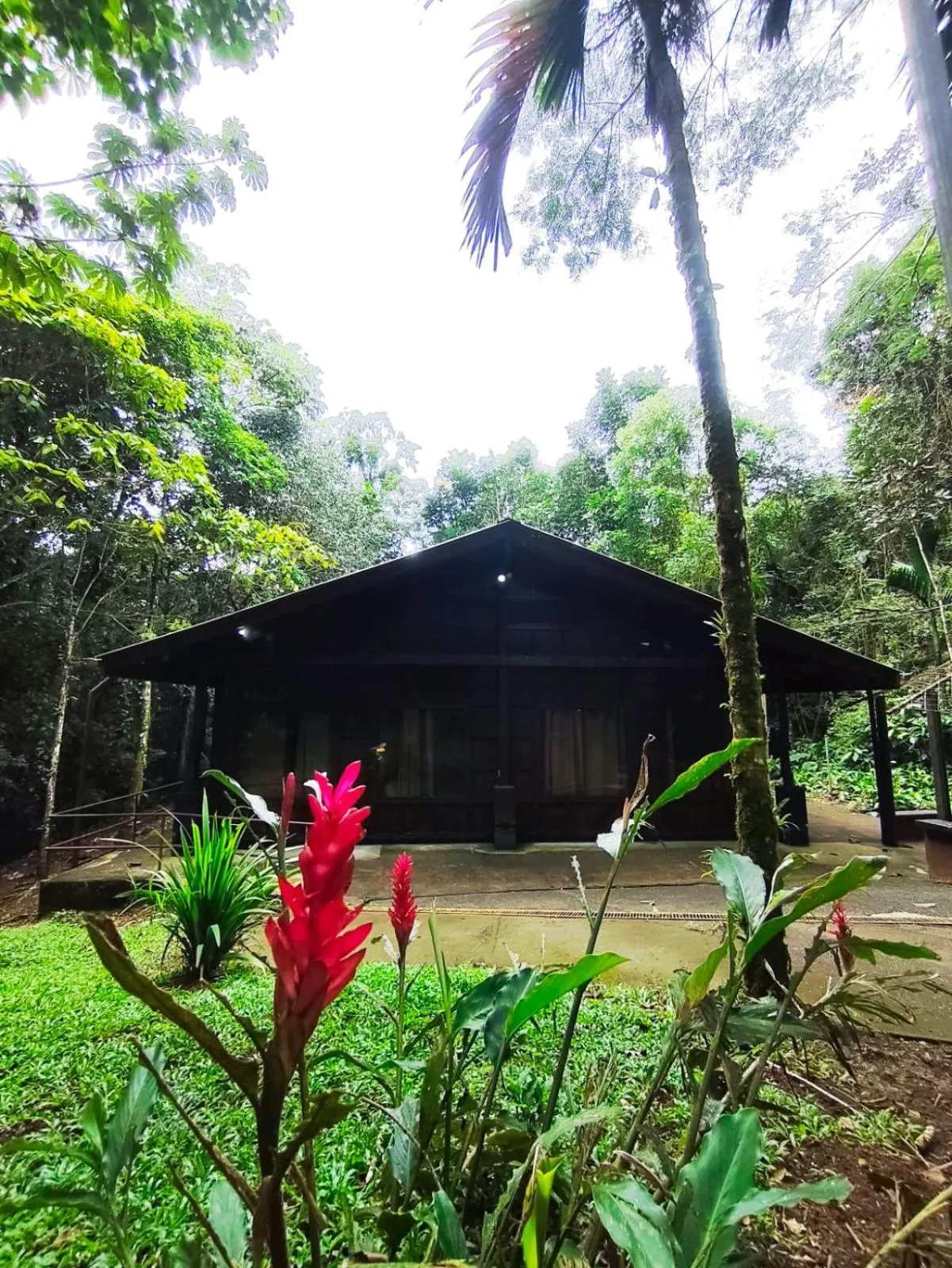 Property building in Ávita Lodge