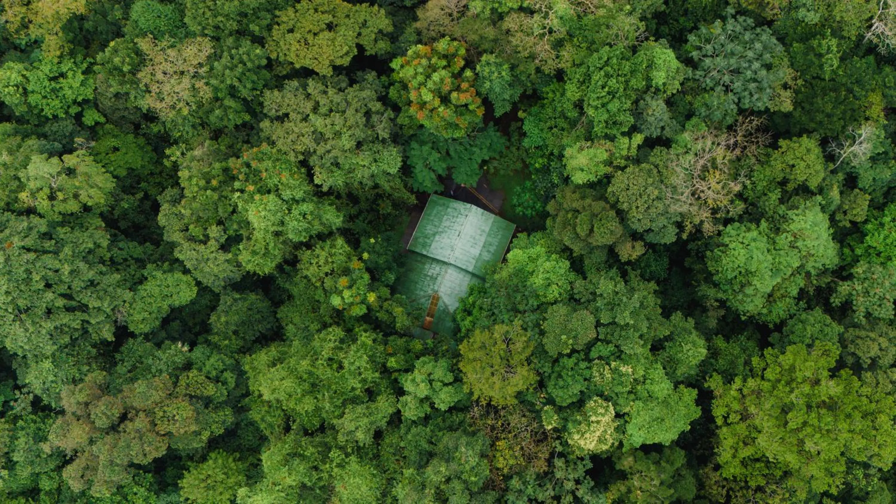 Property building in Ávita Lodge