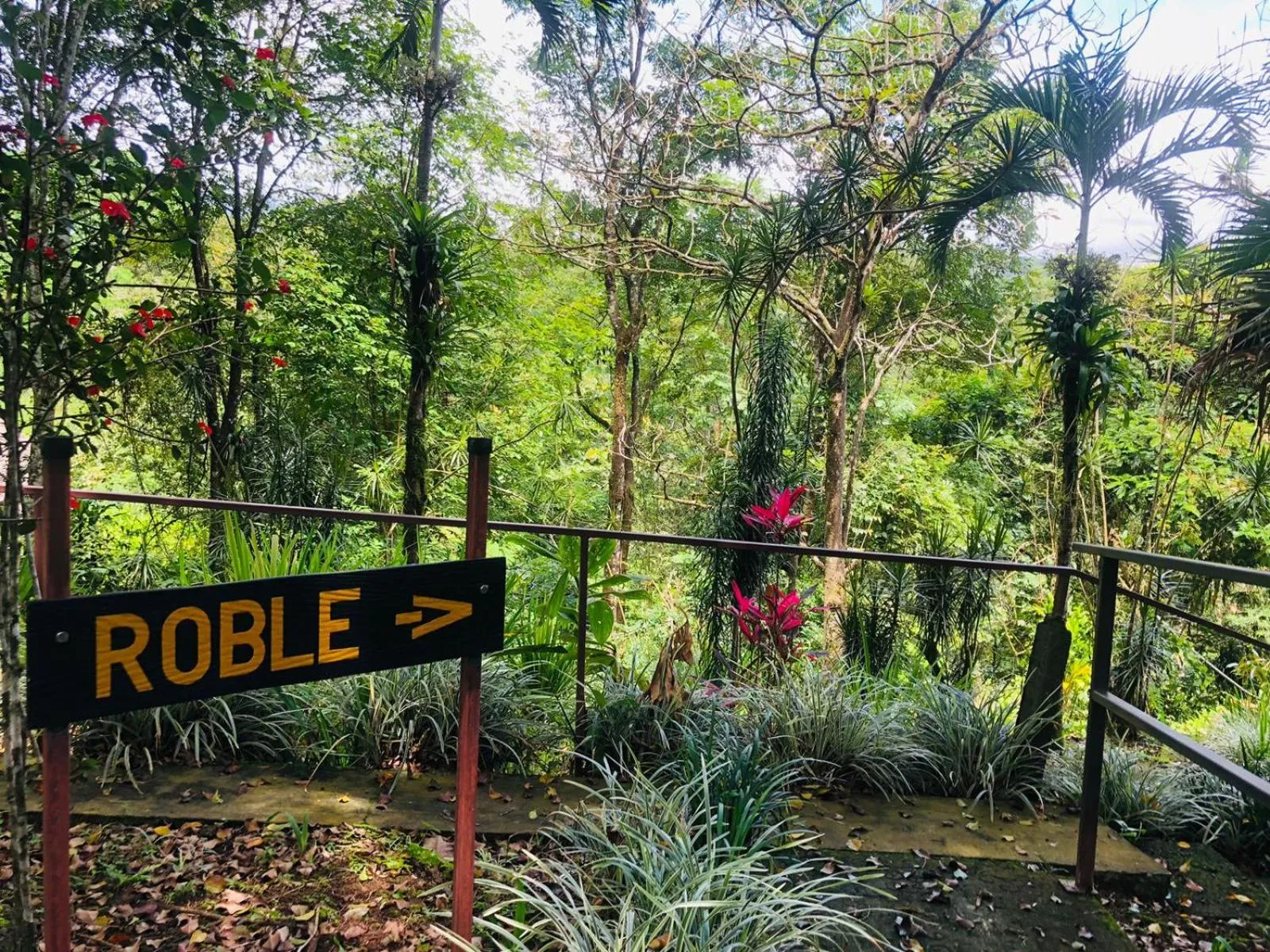 Basic Triple Room in Ávita Lodge