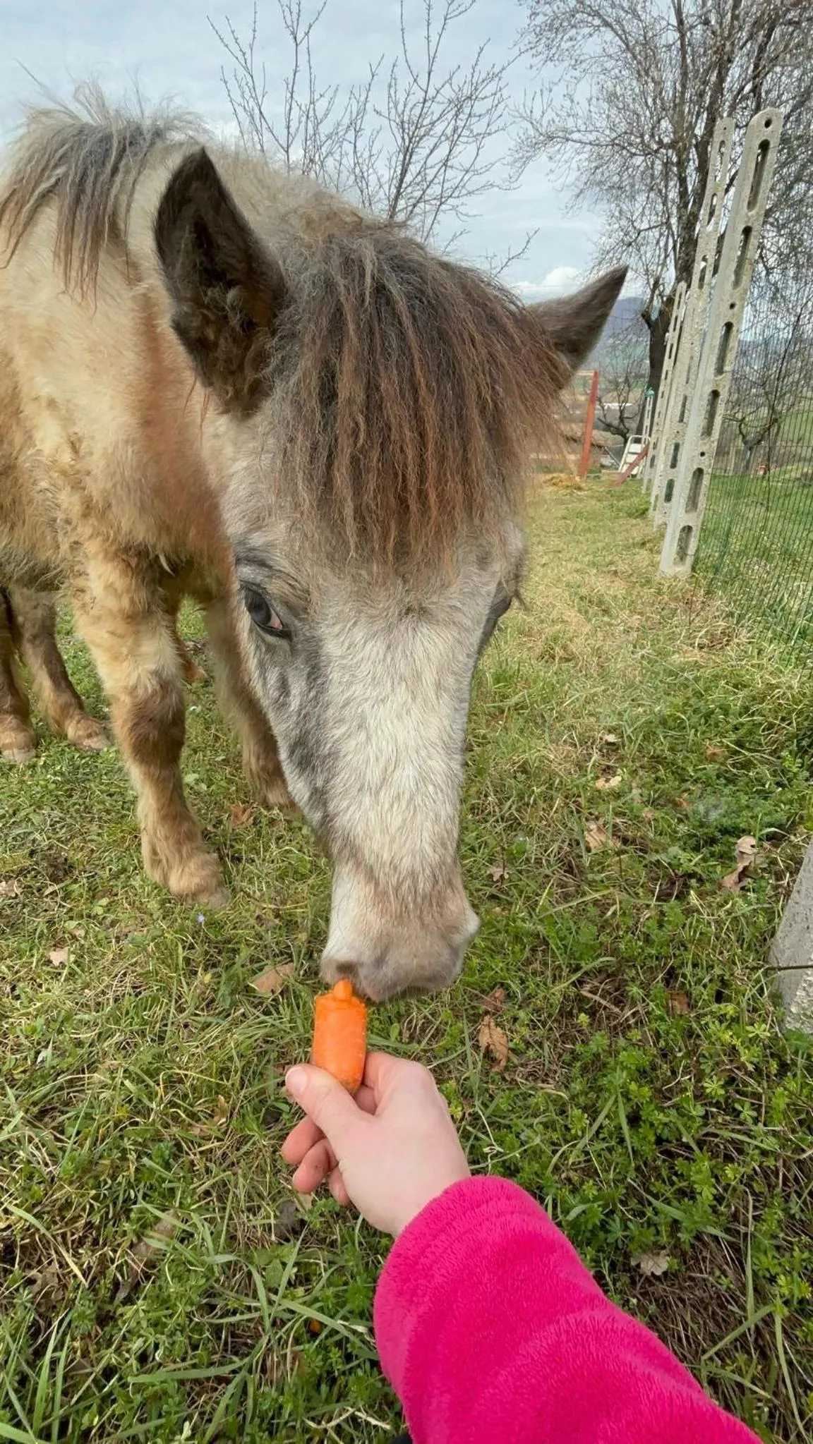 Activities in Agriturismo B&B La Cerasa