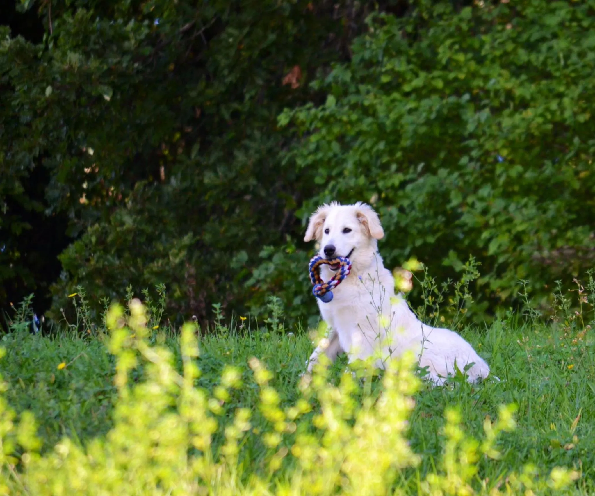 Property building in Agriturismo B&B La Cerasa