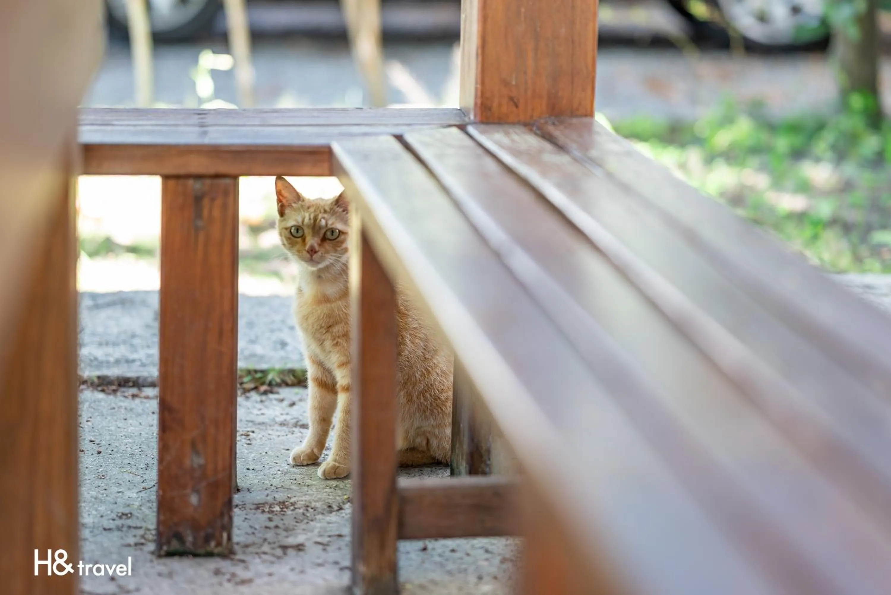 Property building in Taitung Feng Lin Resort Hotel