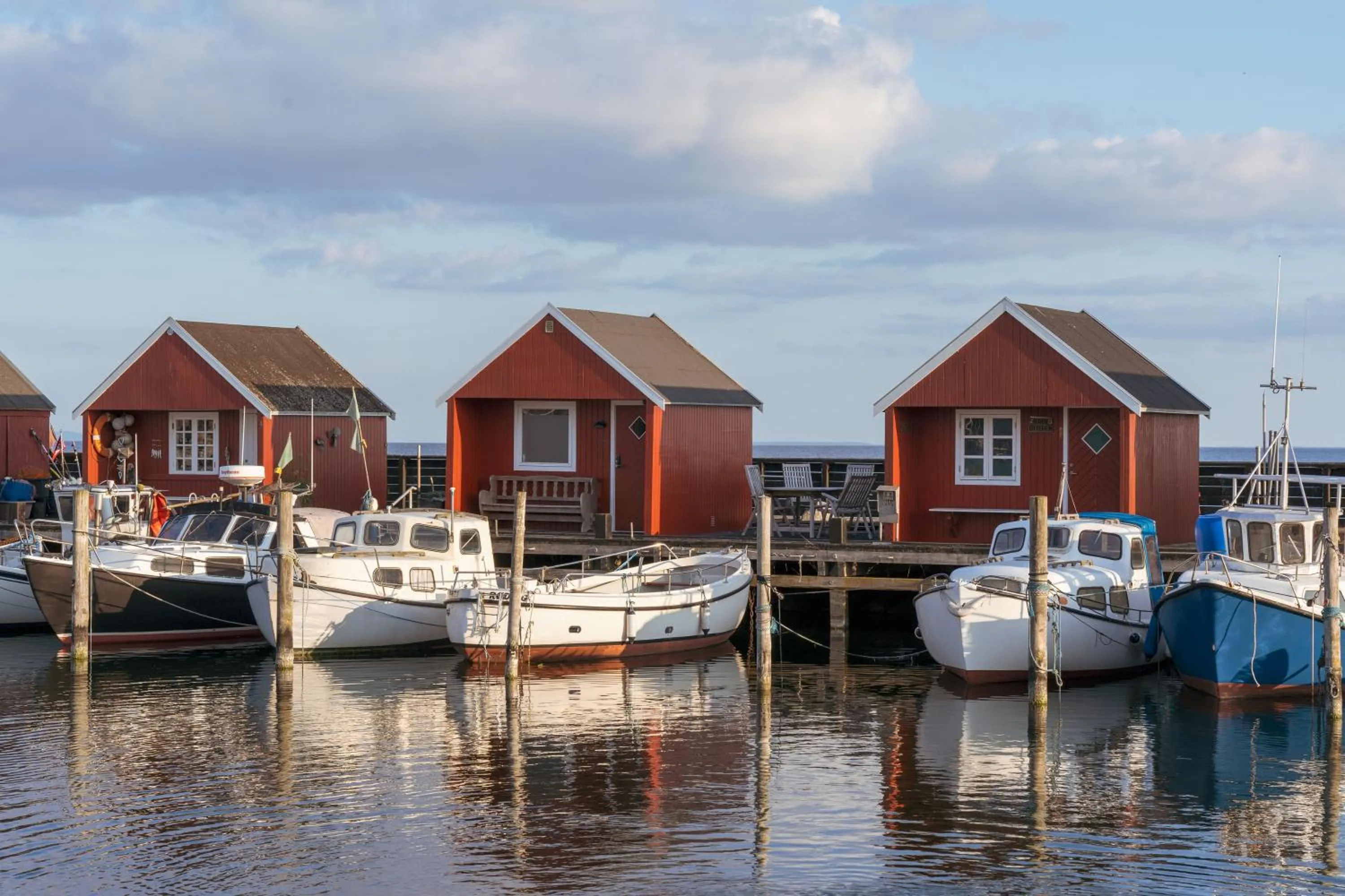 Natural landscape in Kridthuset Stevns Klint