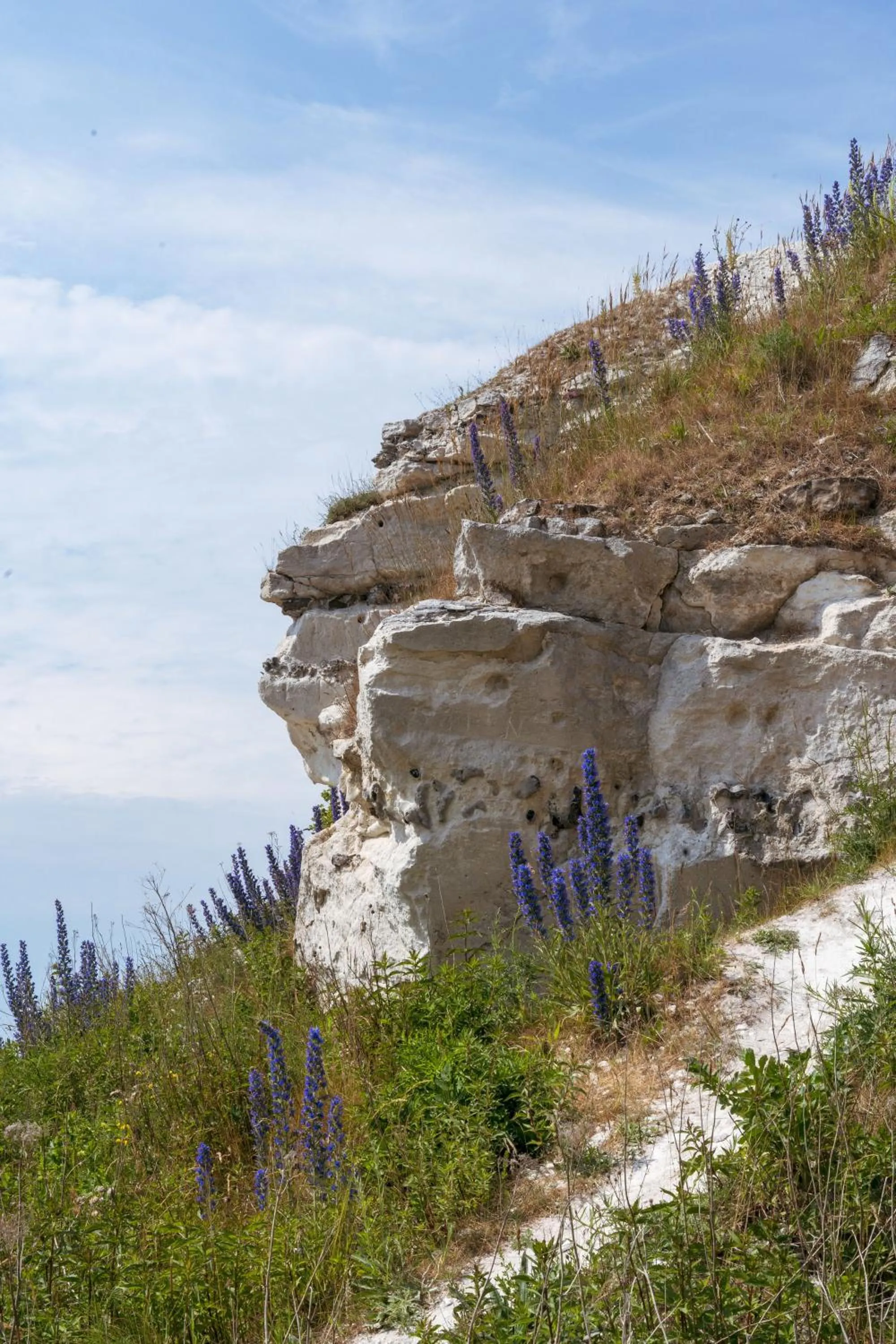 Natural landscape in Kridthuset Stevns Klint