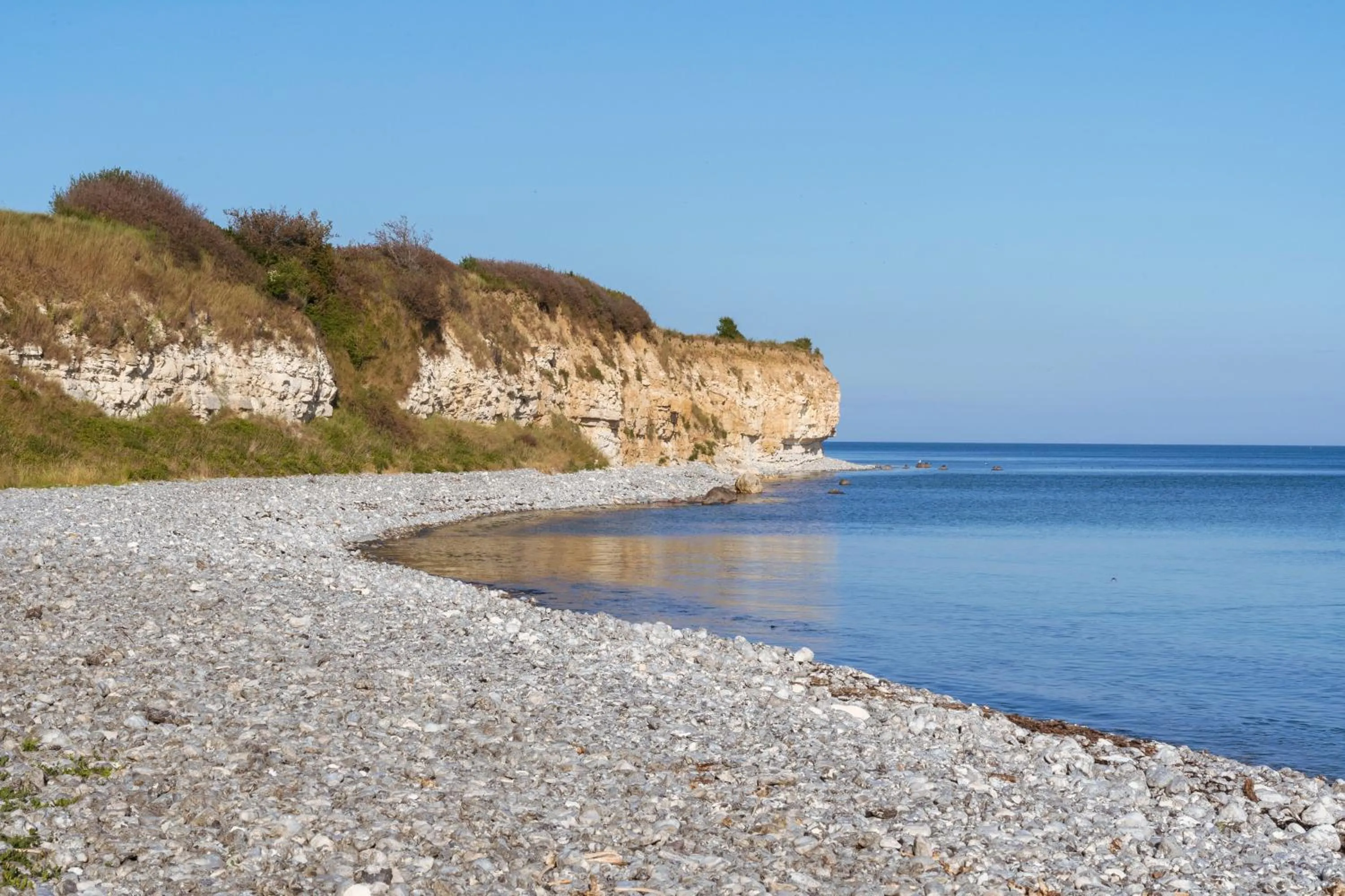 Natural landscape in Kridthuset Stevns Klint