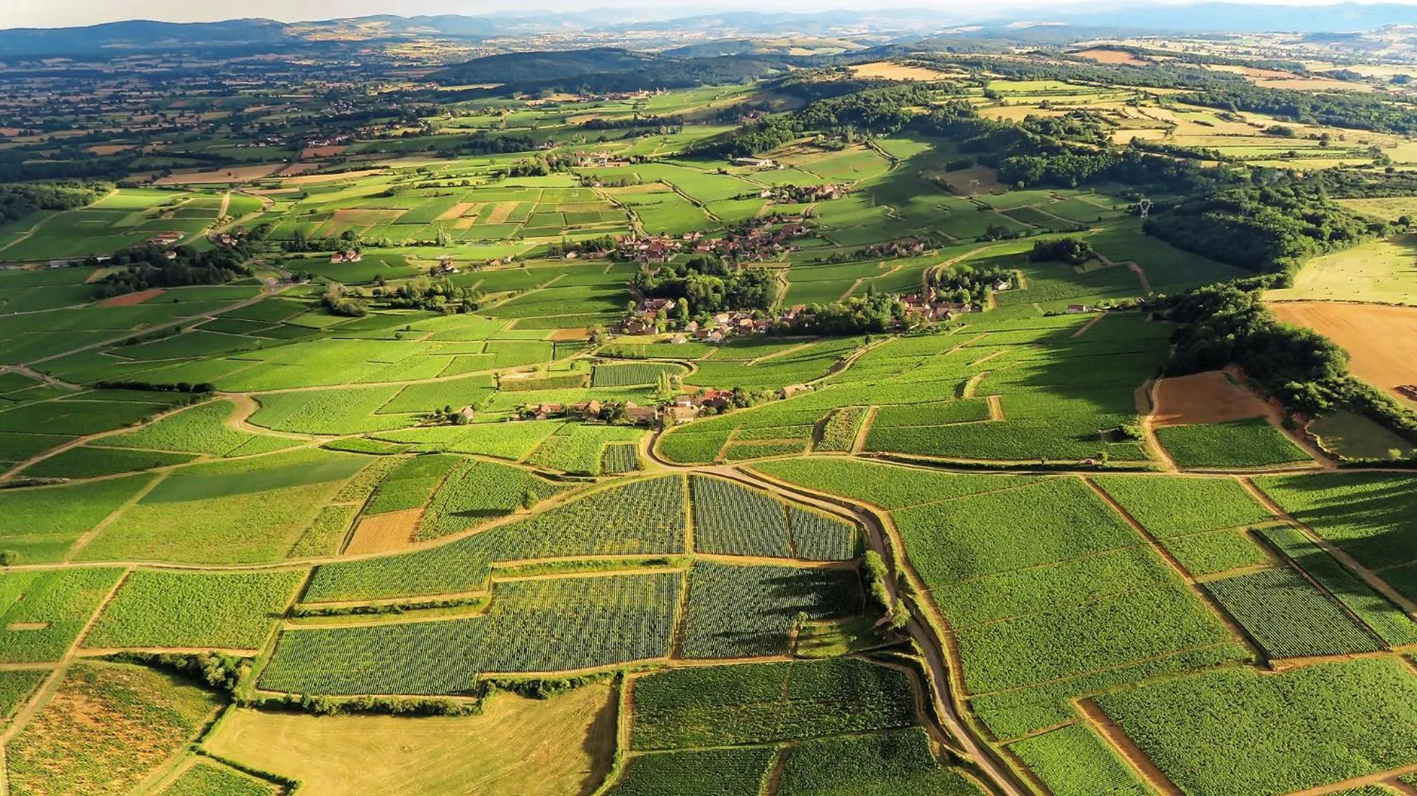 Bird's eye view in VILLA FIGUE BLANCHE