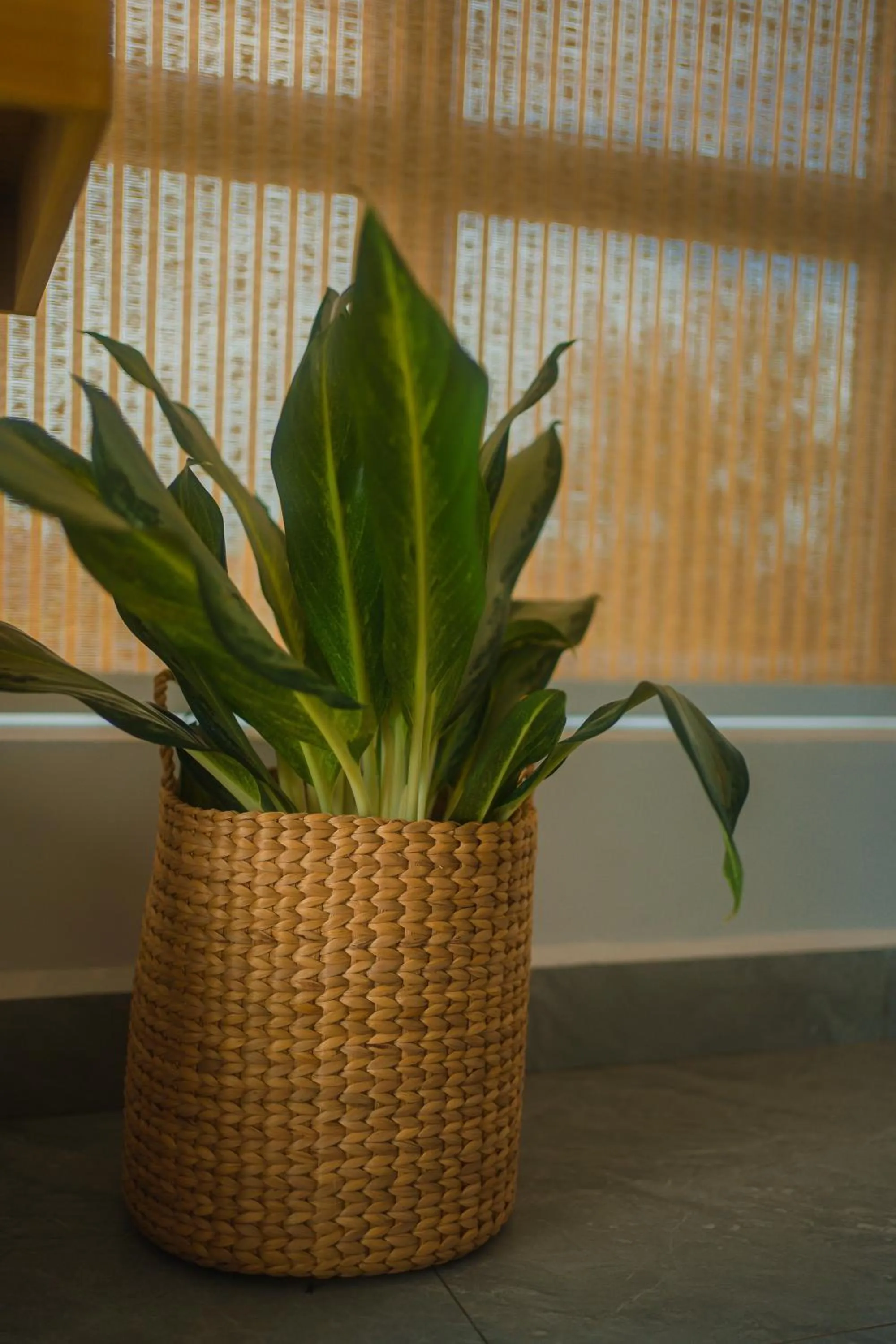 Decorative detail in Montagne Boutique