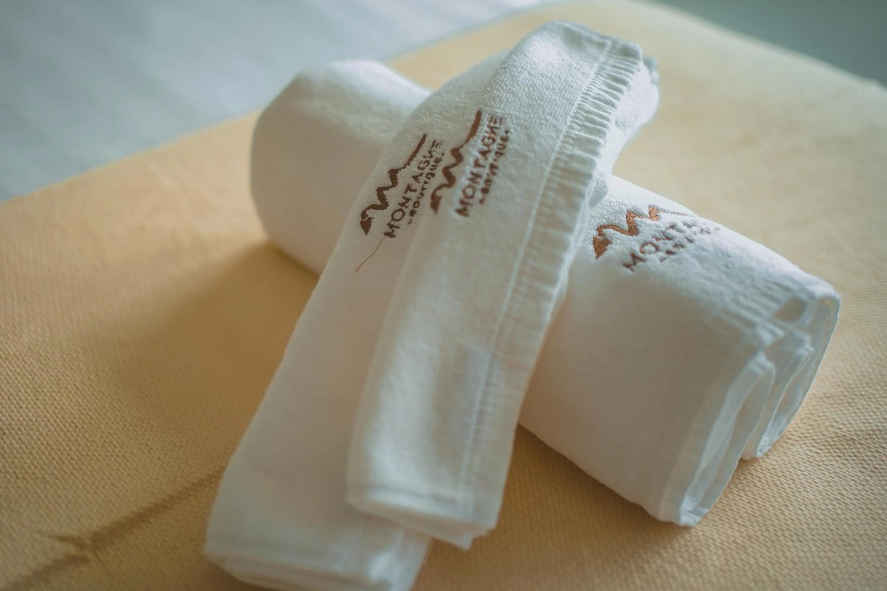 Logo/Certificate/Sign in Montagne Boutique