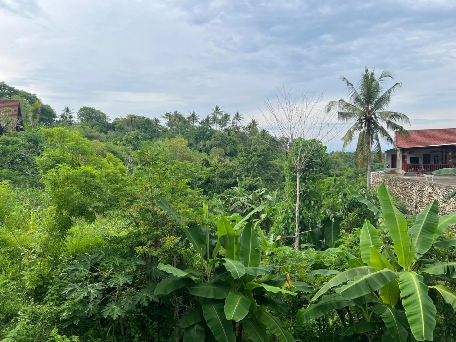 Other in Alam Selumbung Garden