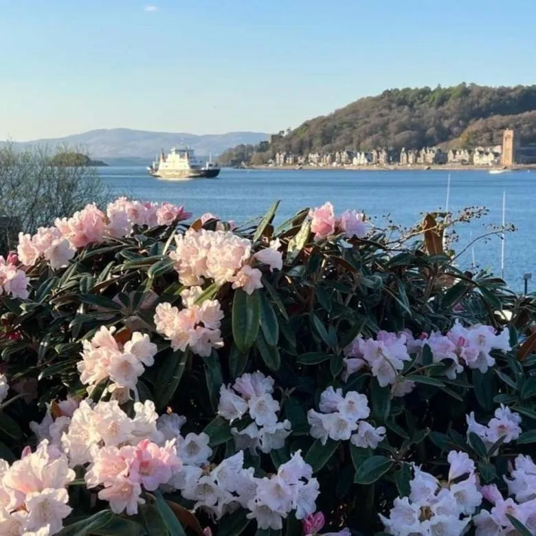 Sea view in The Manor House