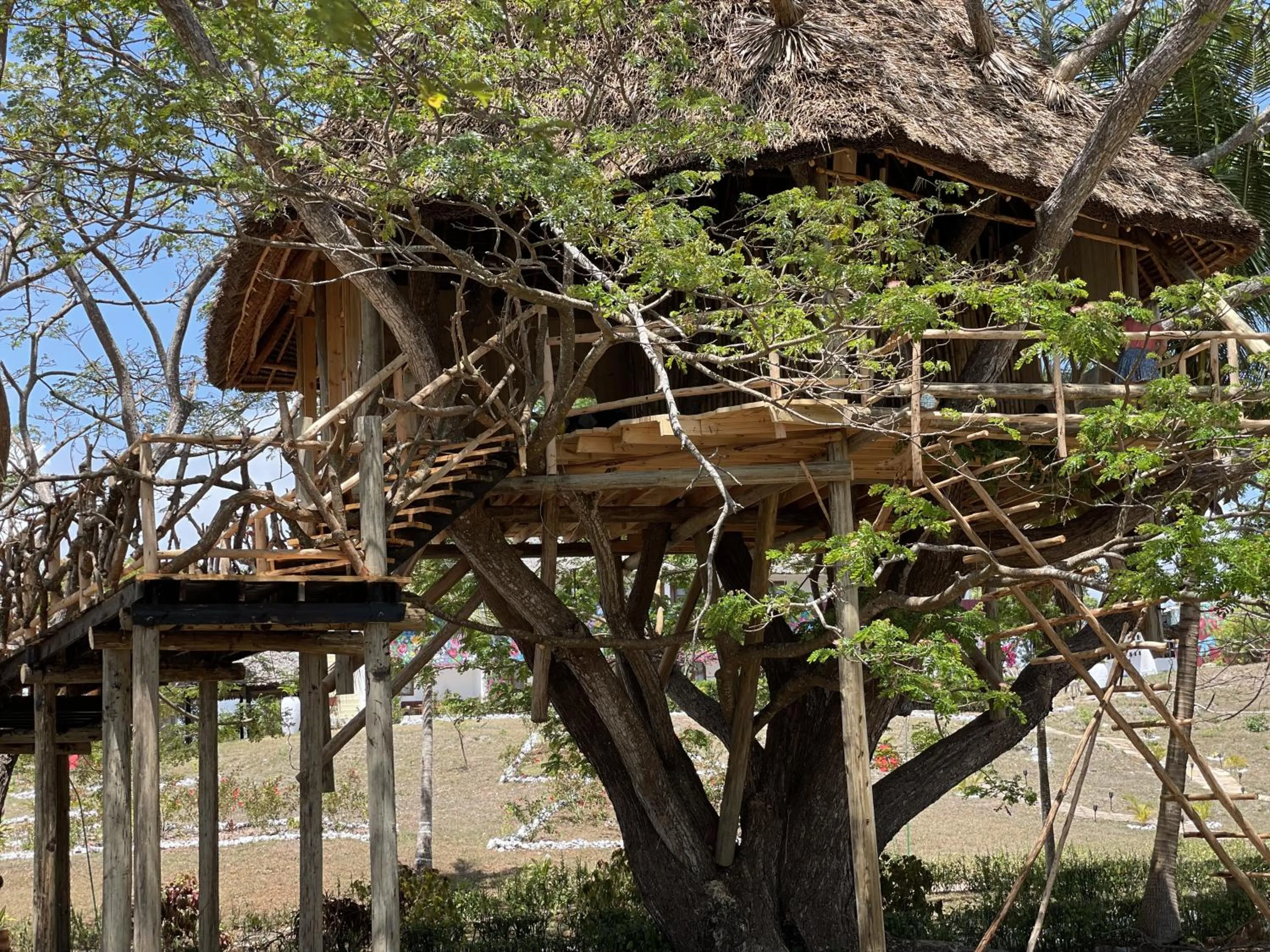 Day in Antonio Beach Tree House Hotel & Spa