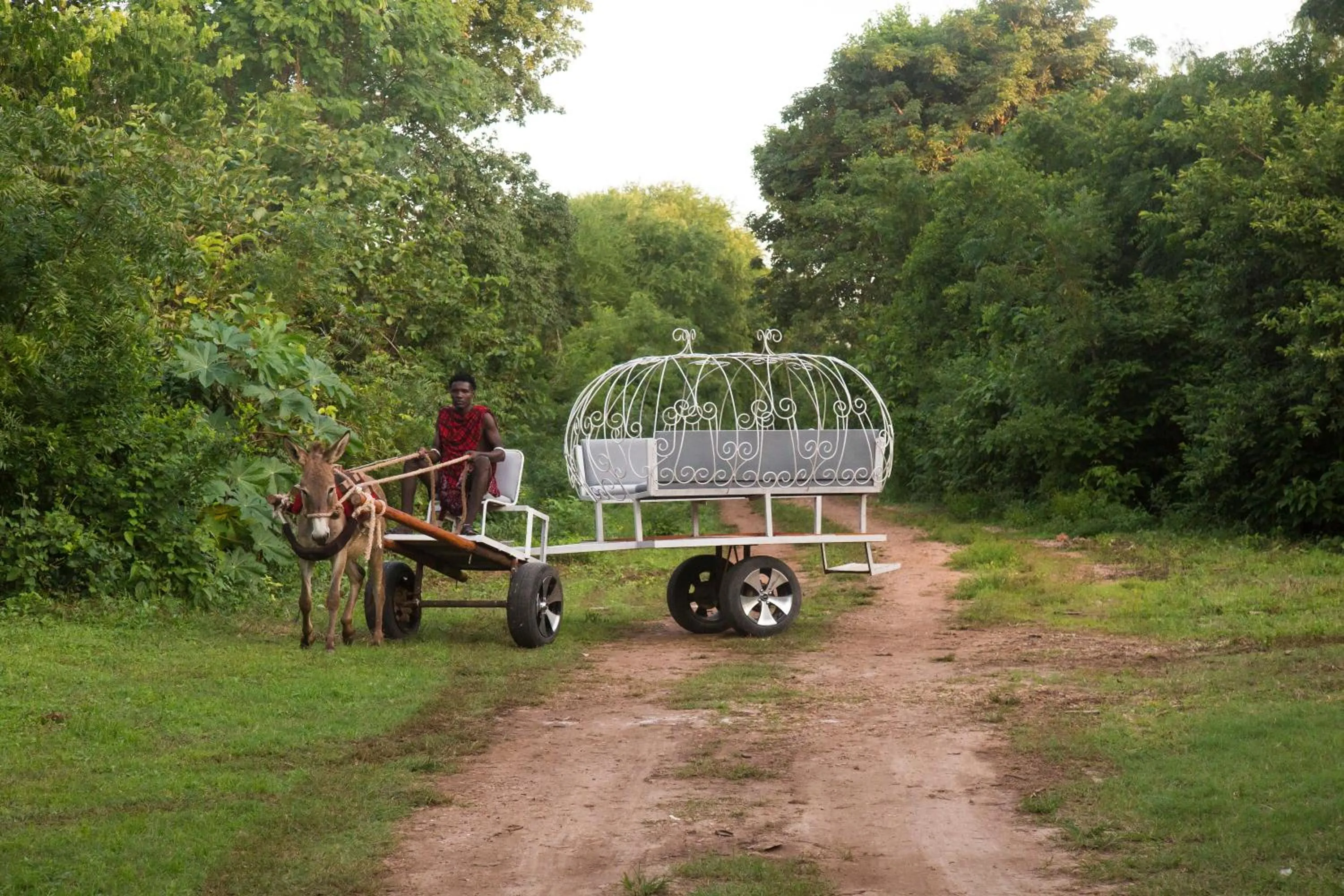 Activities in Antonio Beach Tree House Hotel & Spa