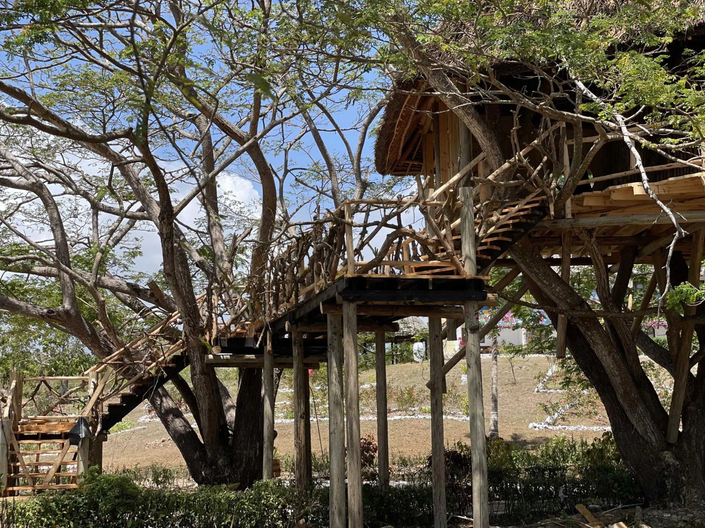 Natural landscape in Antonio Beach Tree House Hotel & Spa