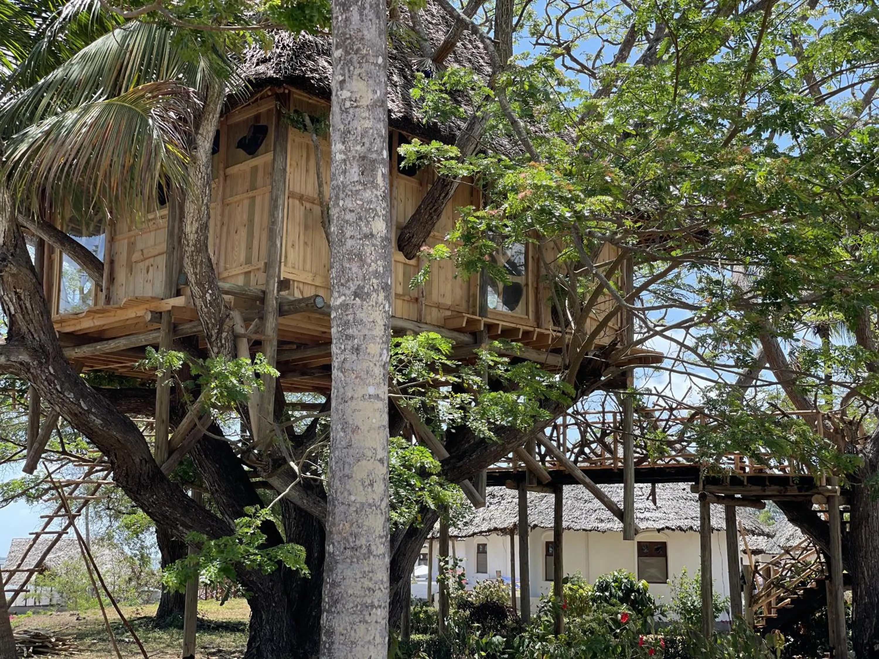 Property building in Antonio Beach Tree House Hotel & Spa