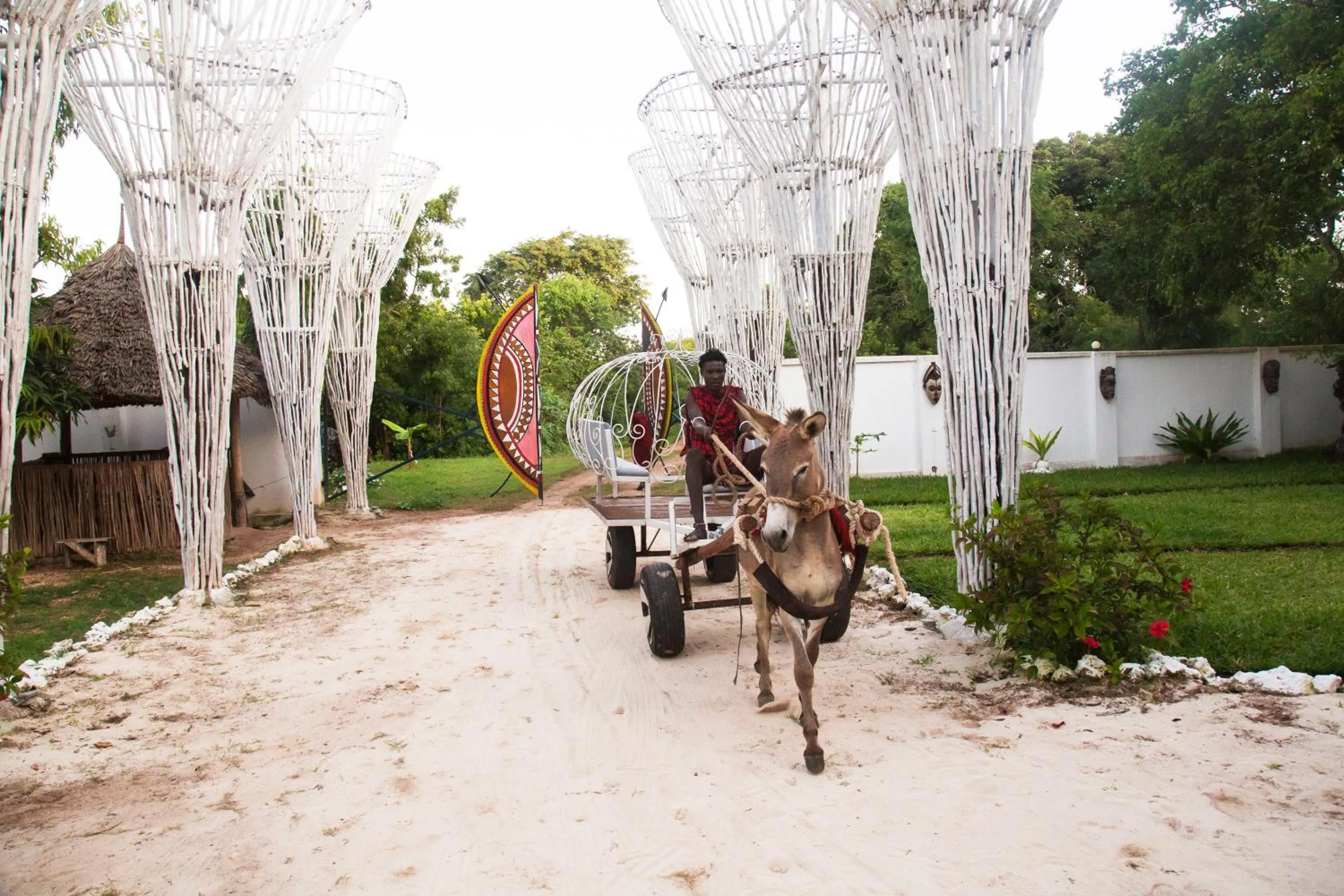 Activities in Antonio Beach Tree House Hotel & Spa