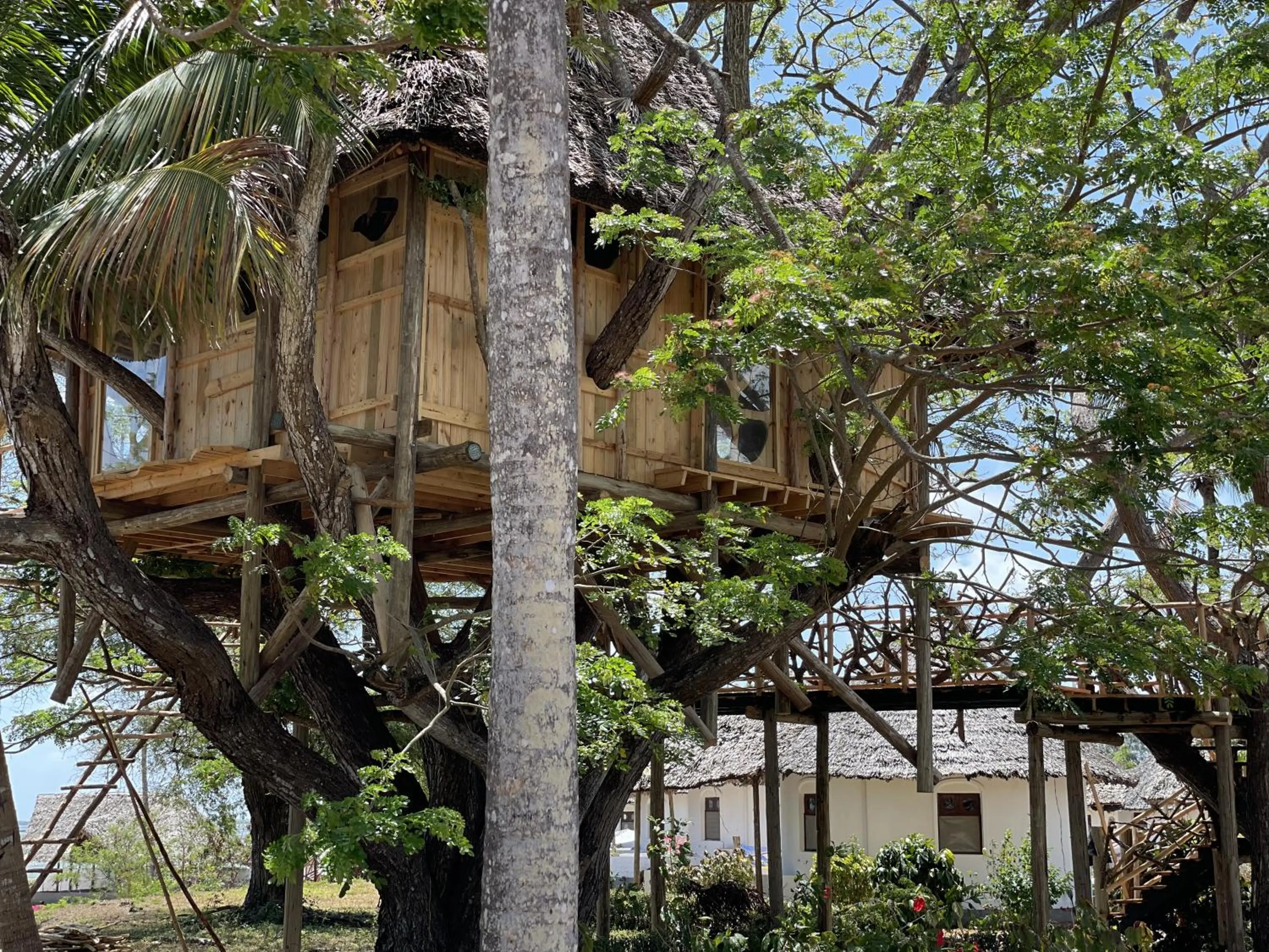 Garden view in Antonio Beach Tree House Hotel & Spa