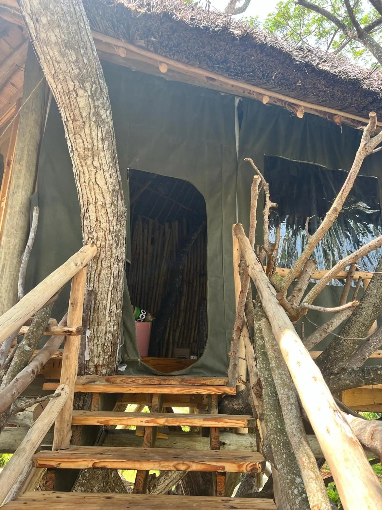 Facade/entrance in Antonio Beach Tree House Hotel & Spa
