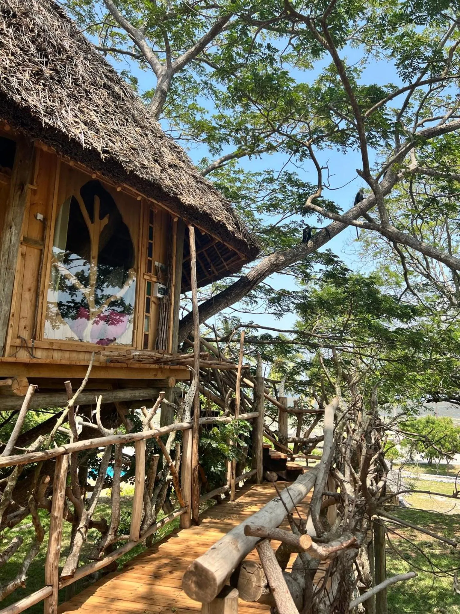 View (from property/room) in Antonio Beach Tree House Hotel & Spa